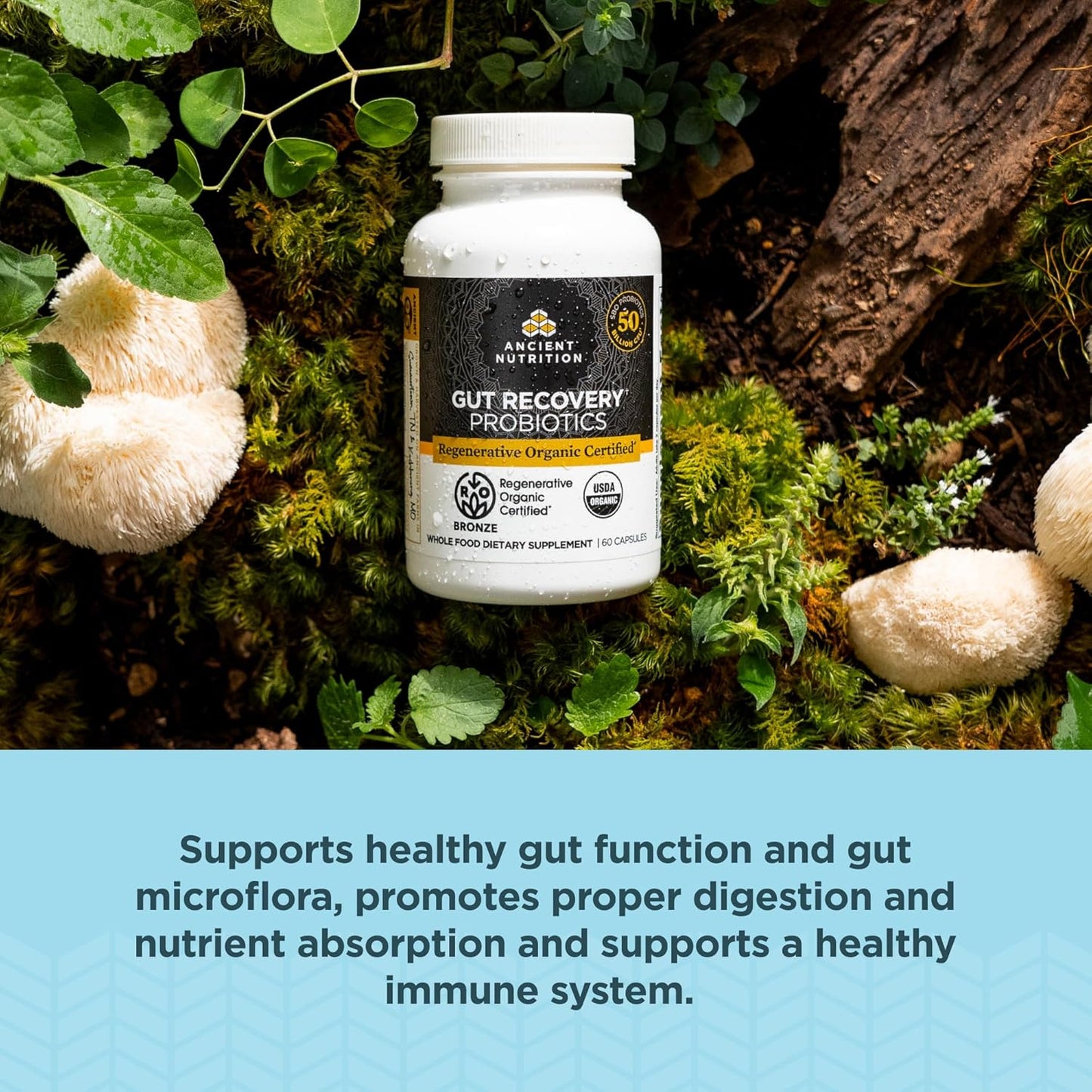 Organic Probiotics for Gut Recovery & Immune Support - 50 Billion CFUs, 60 Count