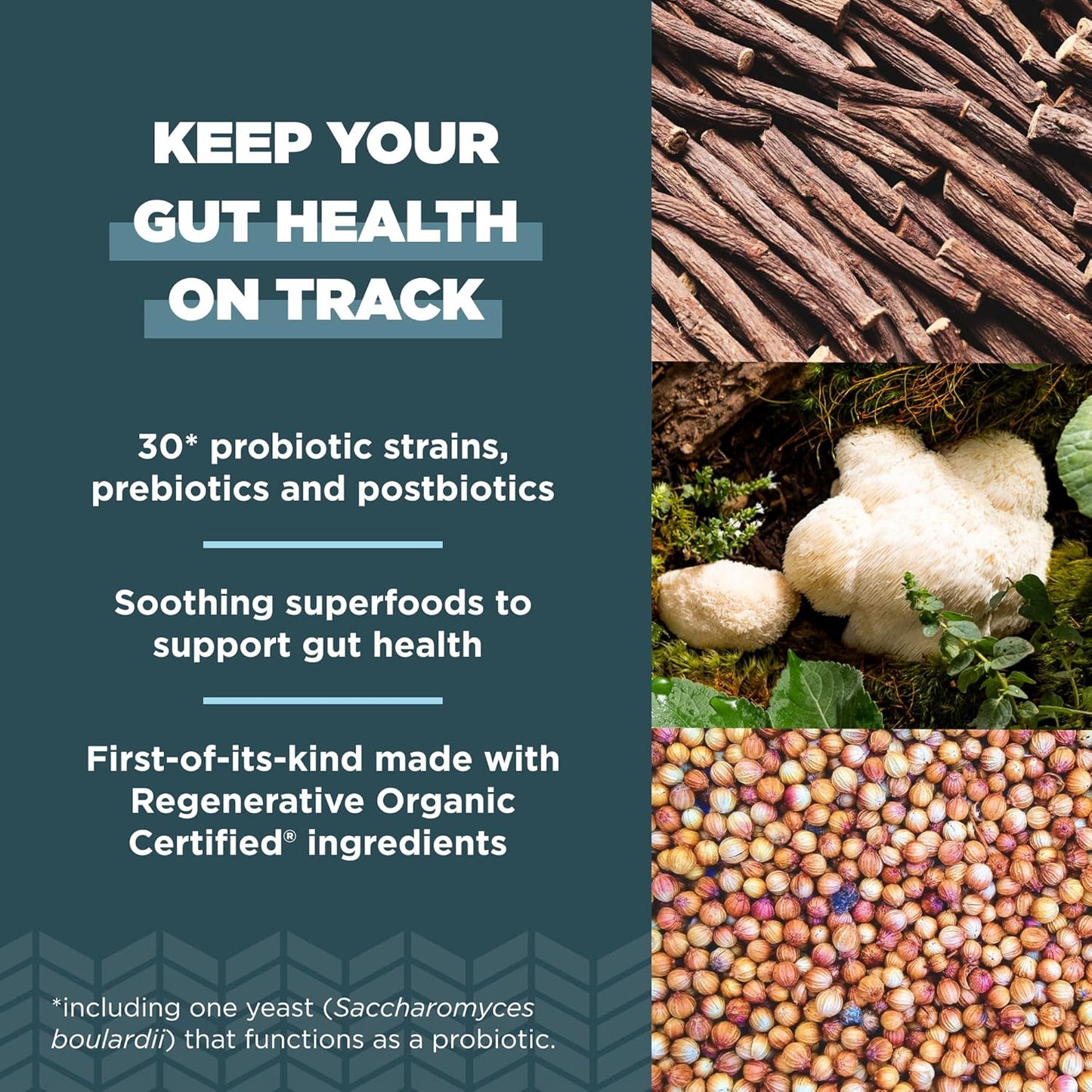 Organic Probiotics for Gut Recovery & Immune Support - 50 Billion CFUs, 60 Count