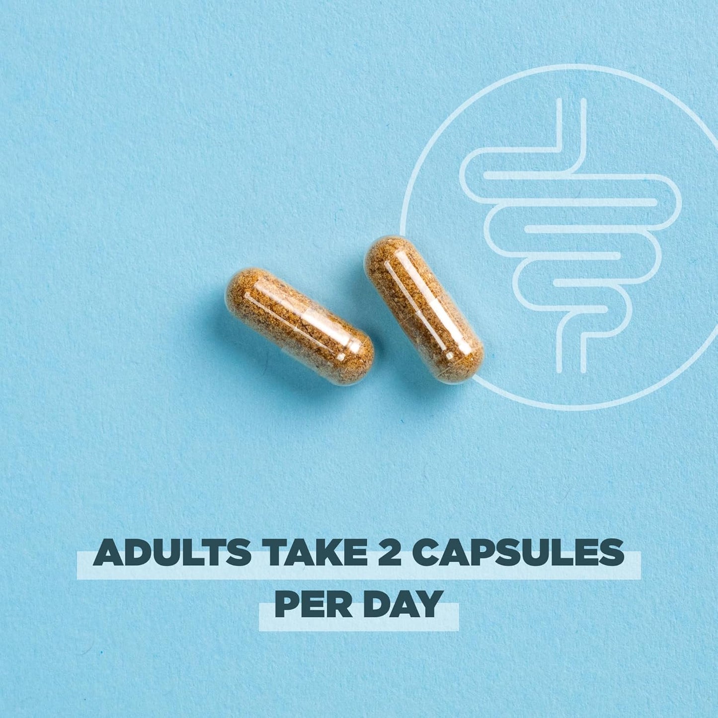 Organic Probiotics for Gut Recovery & Immune Support - 50 Billion CFUs, 60 Count