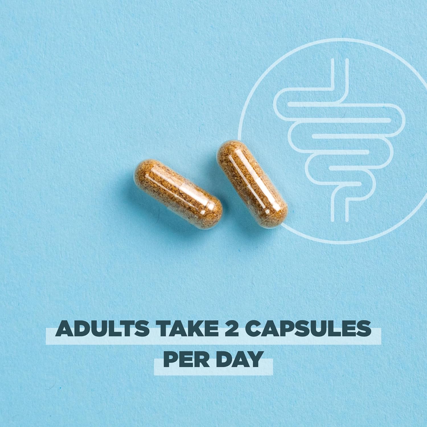 Organic Probiotics for Gut Recovery & Immune Support - 50 Billion CFUs, 60 Count