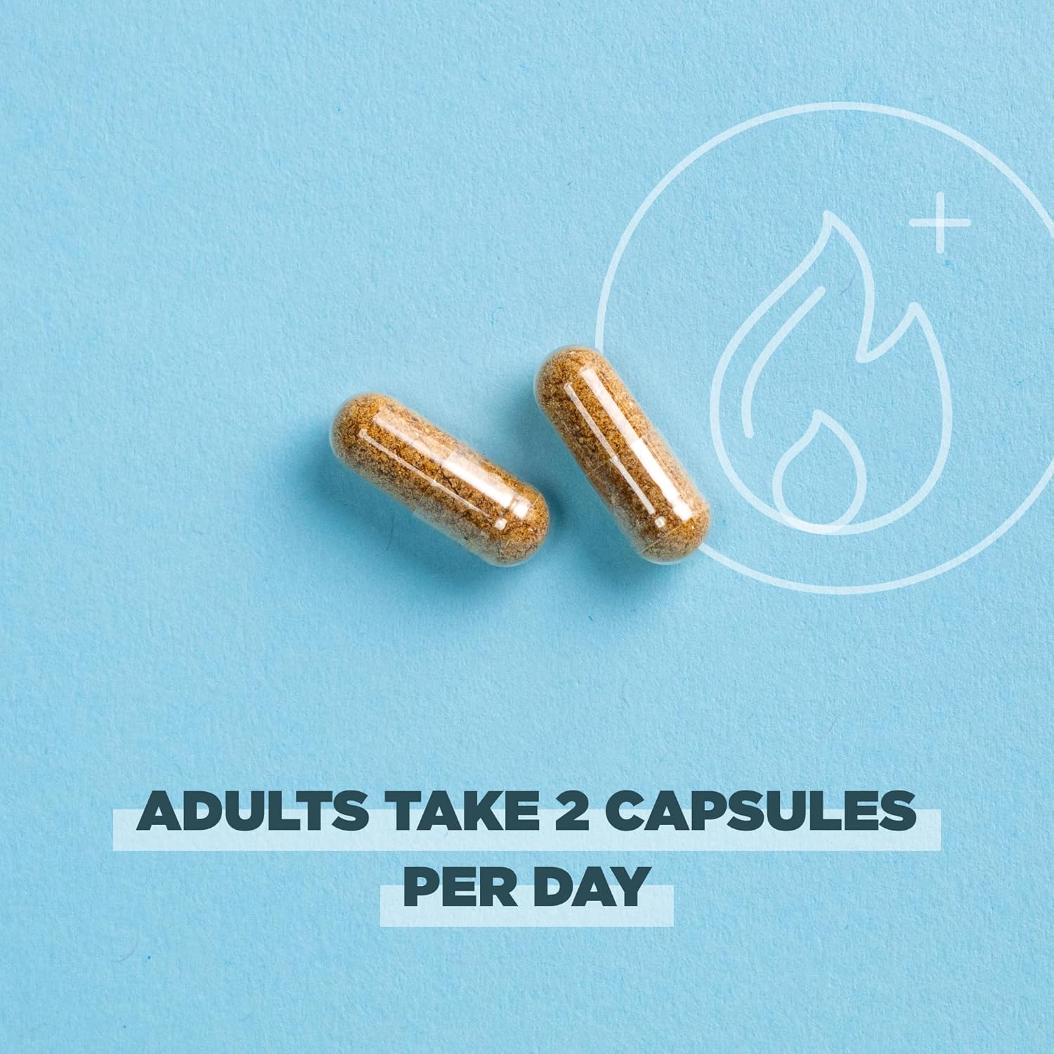 Organic Probiotics for Metabolism, Digestion, and Immunity - 50 Billion CFUs, 60 Count