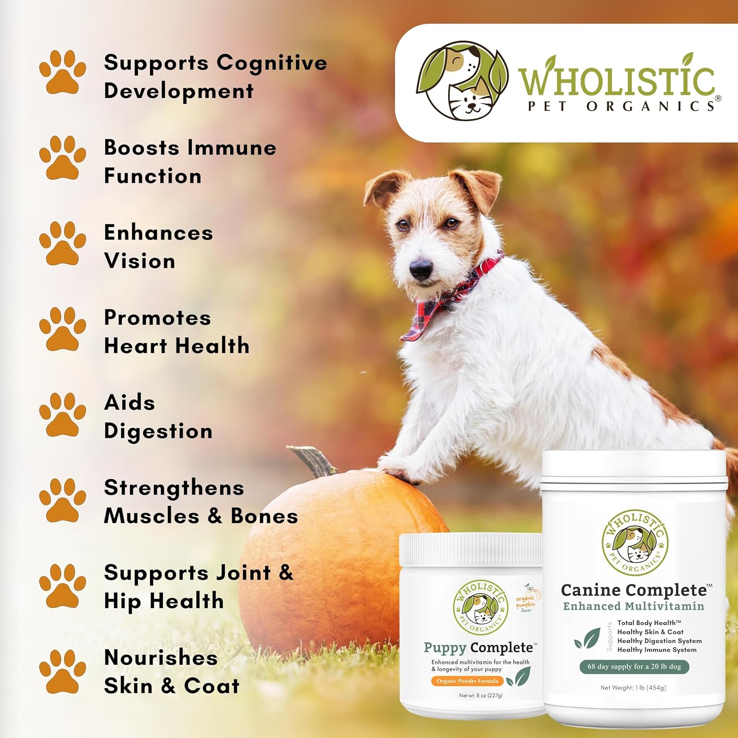 Organic Pumpkin Dog Vitamins & Supplements - Wholistic Canine Complete - 8 Oz - Probiotics & Fiber - Digestion, Skin & Coat Health