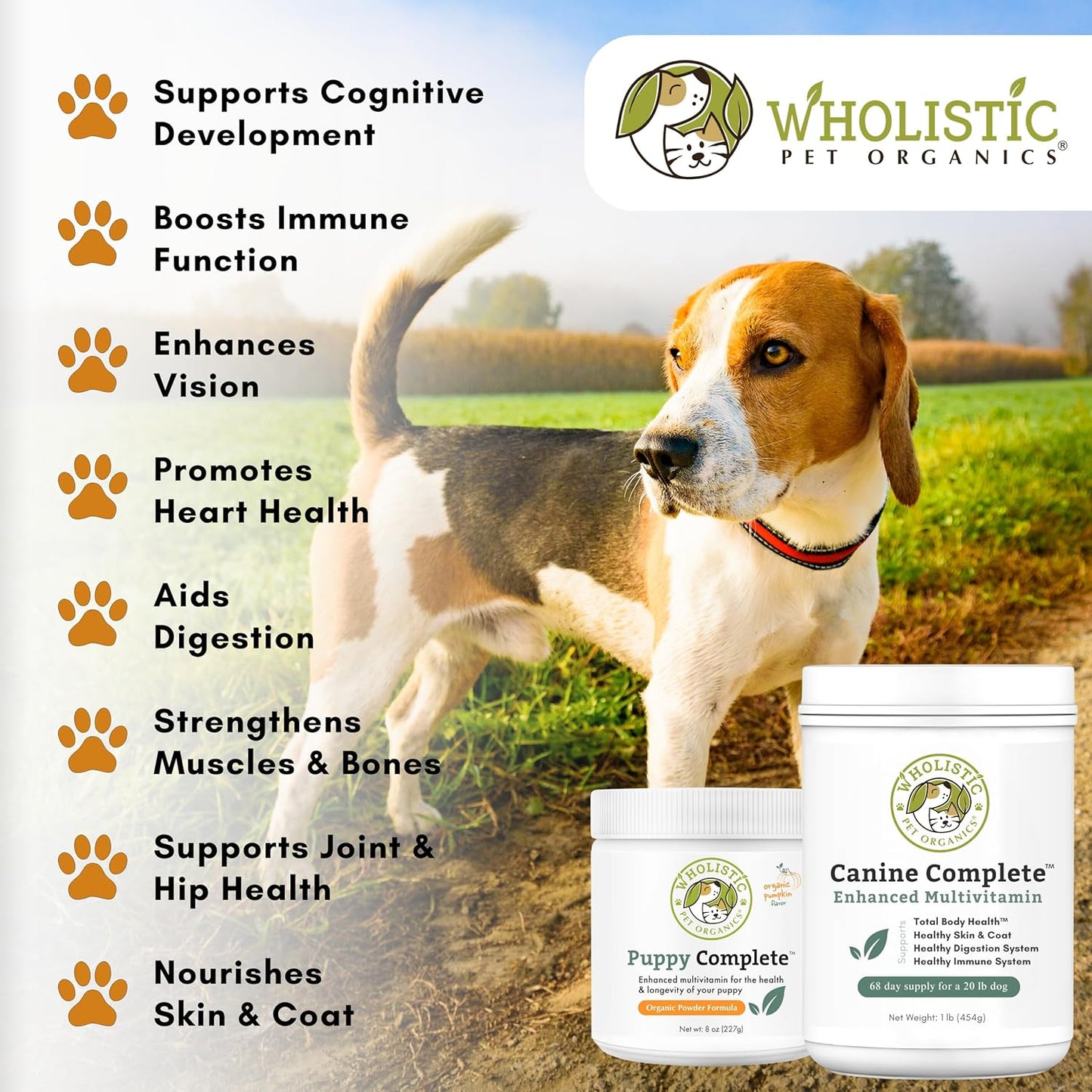 Organic Pumpkin Dog Vitamins & Supplements - Wholistic Canine Complete - 2 Lb - Promotes Digestion, Skin & Coat Health - Multivitamin with Probiotics & Fiber for Dogs
