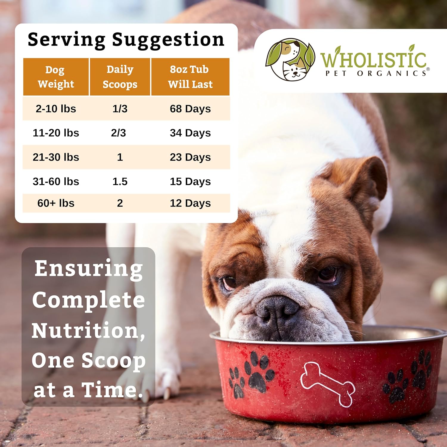 Organic Pumpkin Dog Vitamins & Supplements - Wholistic Canine Complete - 8 Oz - Probiotics & Fiber - Digestion, Skin & Coat Health