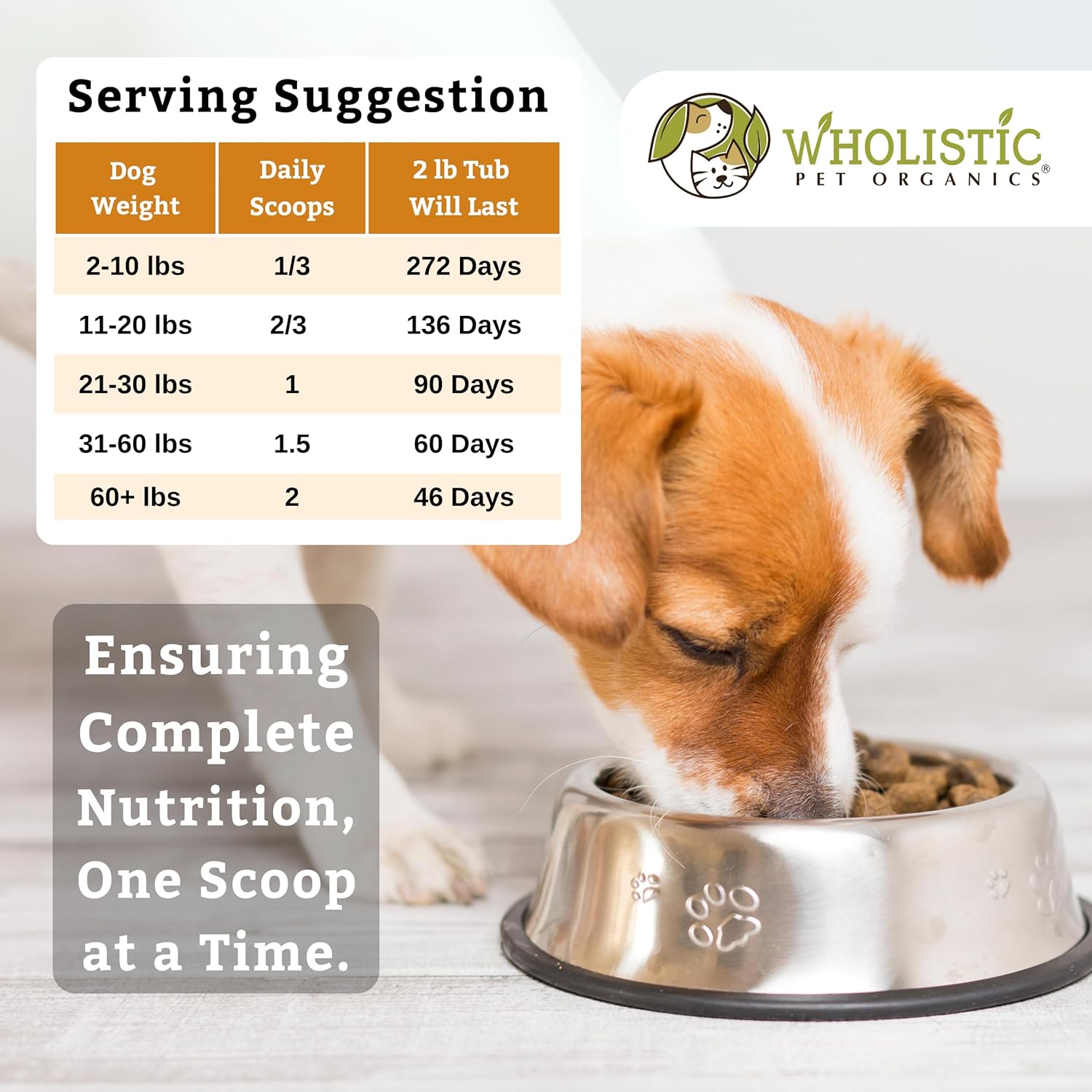 Organic Pumpkin Dog Vitamins & Supplements - Wholistic Canine Complete - 2 Lb - Promotes Digestion, Skin & Coat Health - Multivitamin with Probiotics & Fiber for Dogs