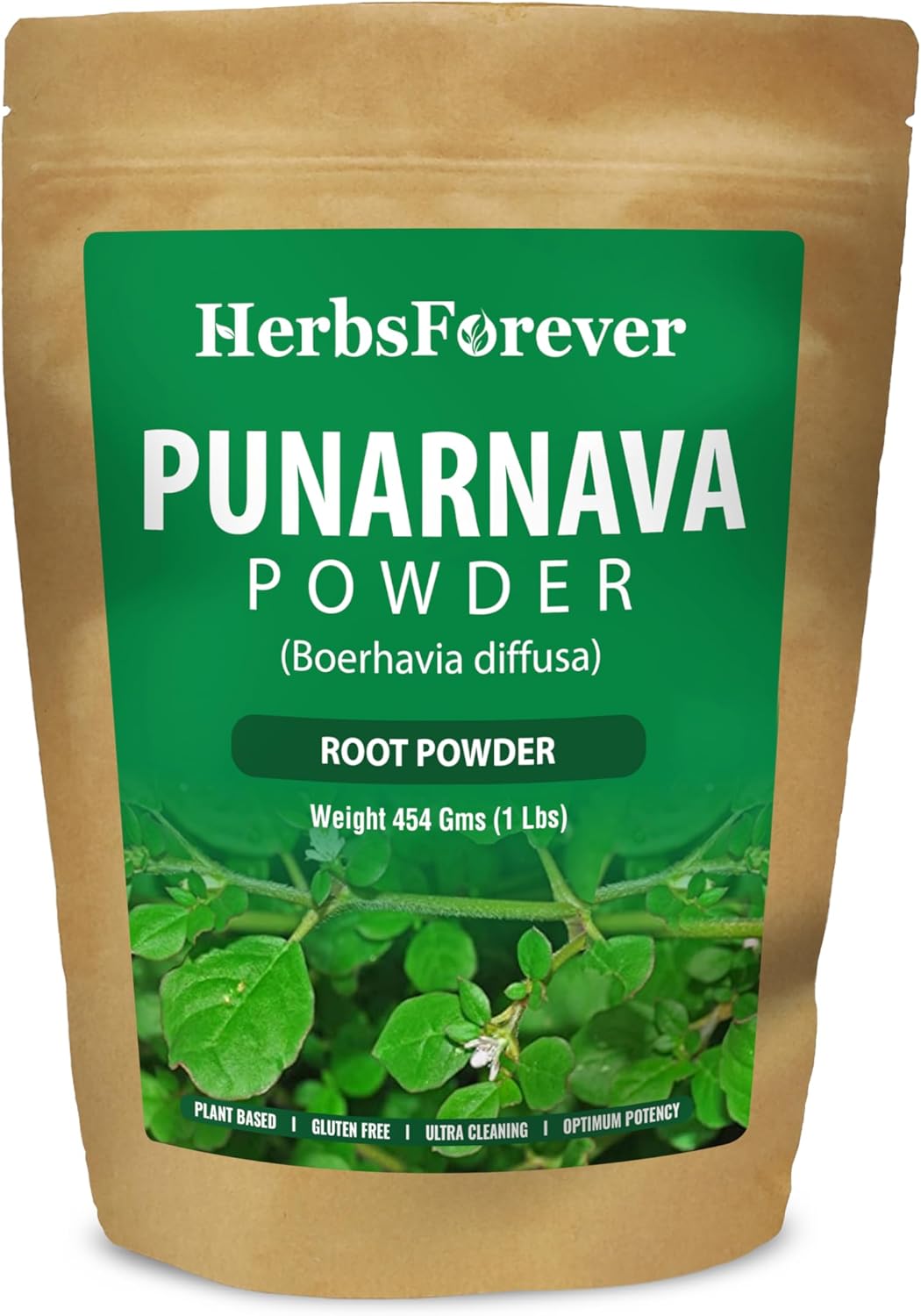 Organic Punarnava Powder - Boerhaavia Diffusa Supplement for Wellness - 454 GMS - Non-GMO, Vegan Ayurvedic Herbal Formula