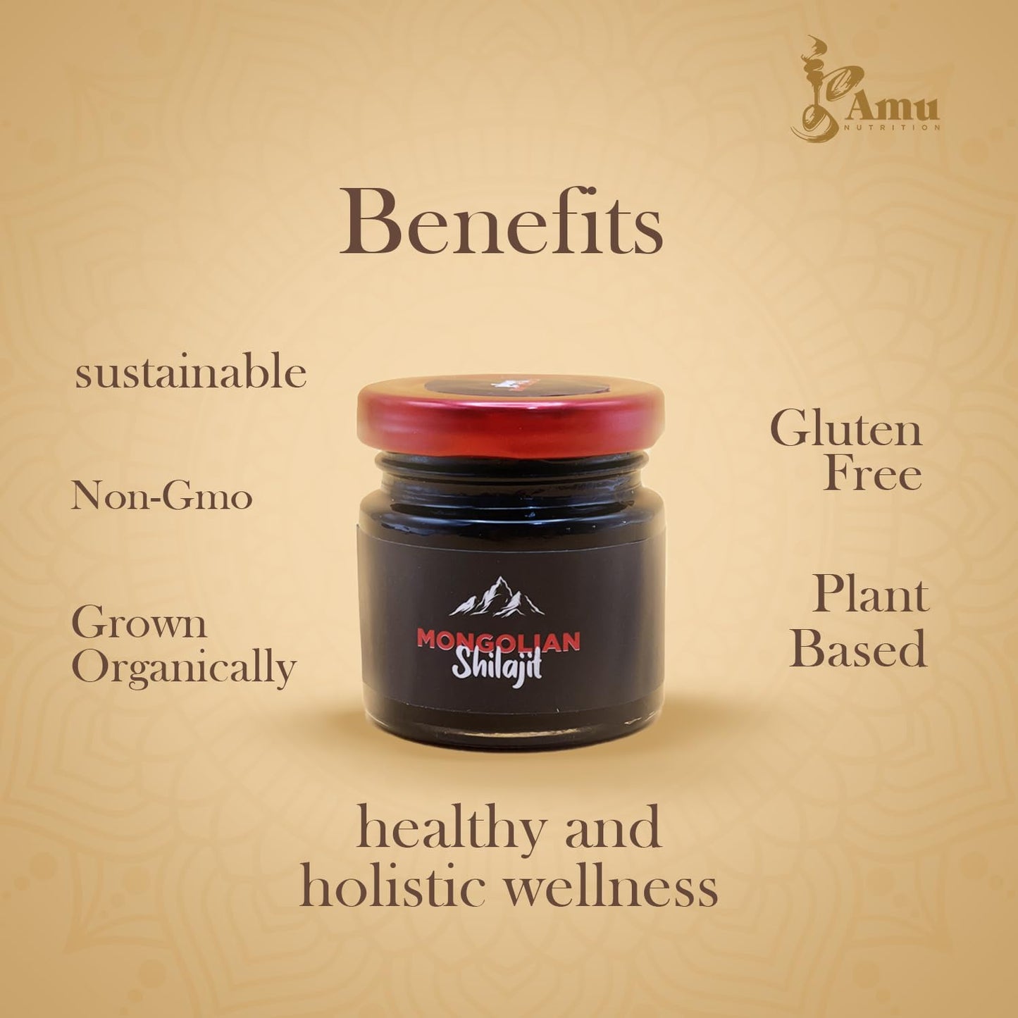 Organic Pure Himalayan Shilajit from Mongolia - Rich in Fulvic Acid Trace Minerals - 80g