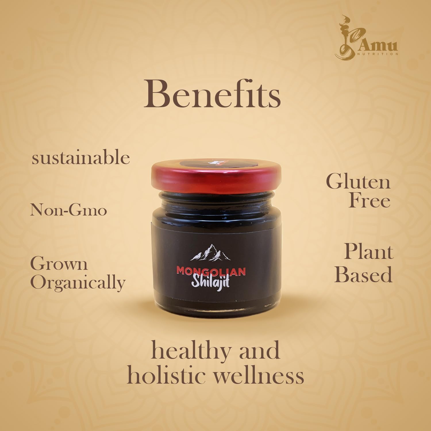 Organic Pure Himalayan Shilajit from Mongolia - Rich in Fulvic Acid Trace Minerals - 80g