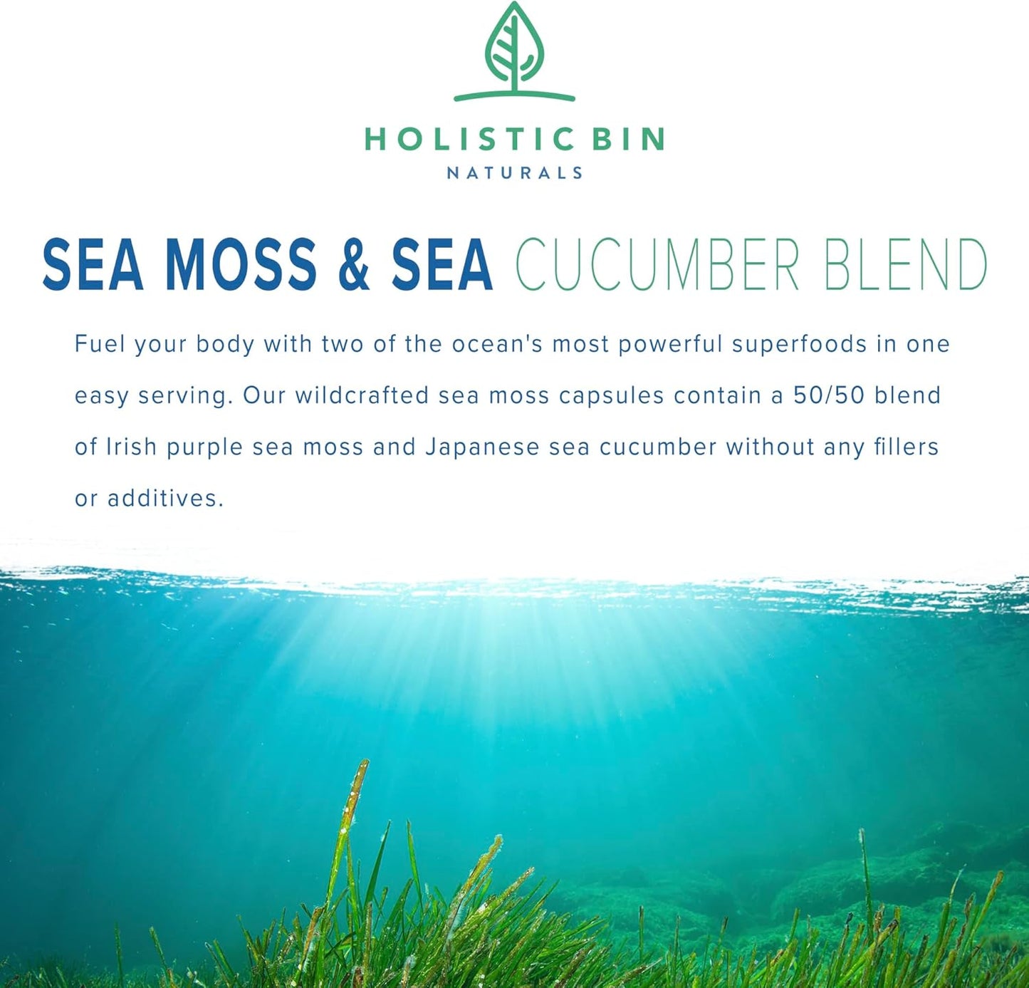 Organic Purple Sea Moss and Sea Cucumber Capsules - 500mg Sea Vegetables per Serving