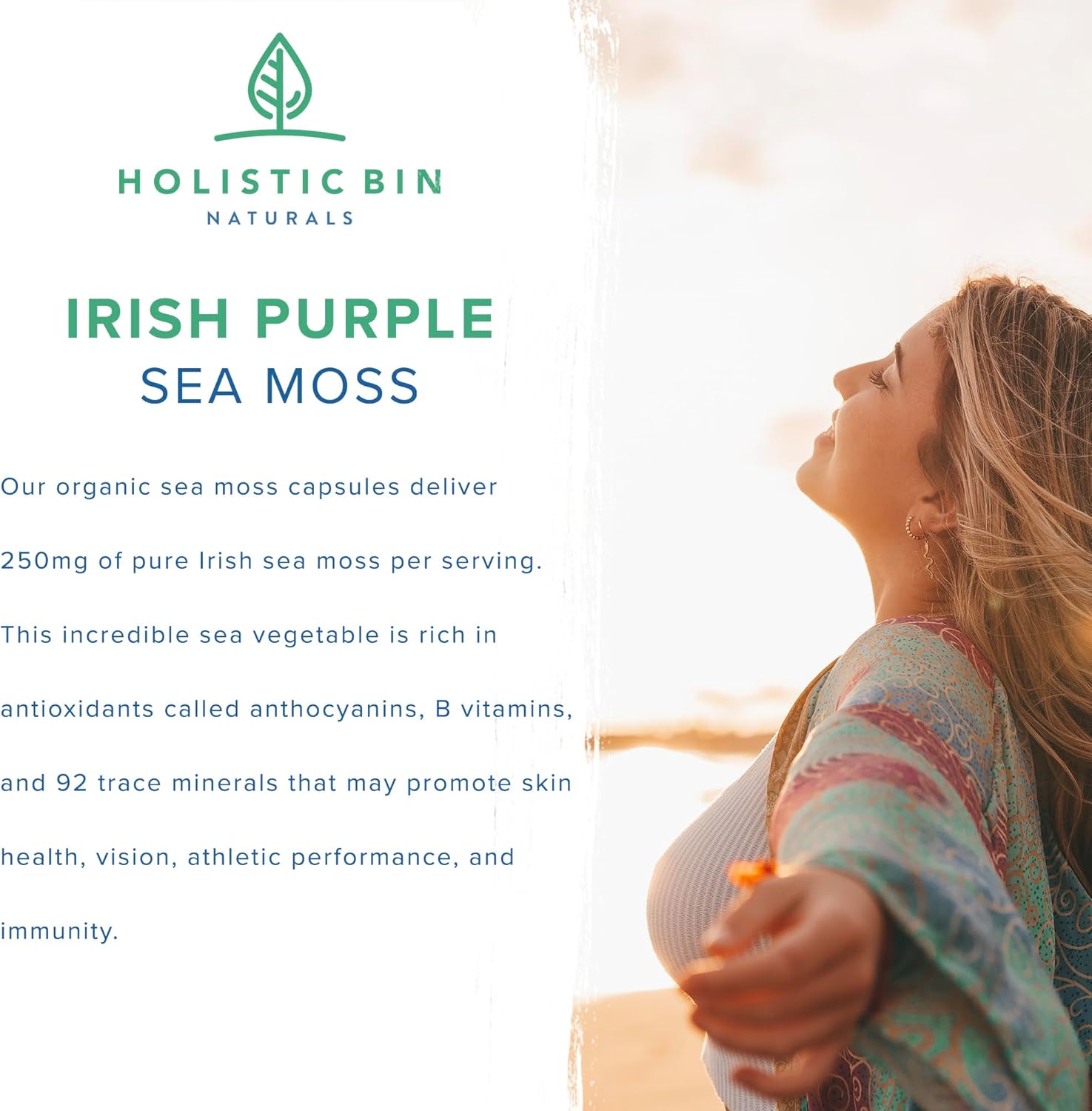 Organic Purple Sea Moss and Sea Cucumber Capsules - 500mg Sea Vegetables per Serving