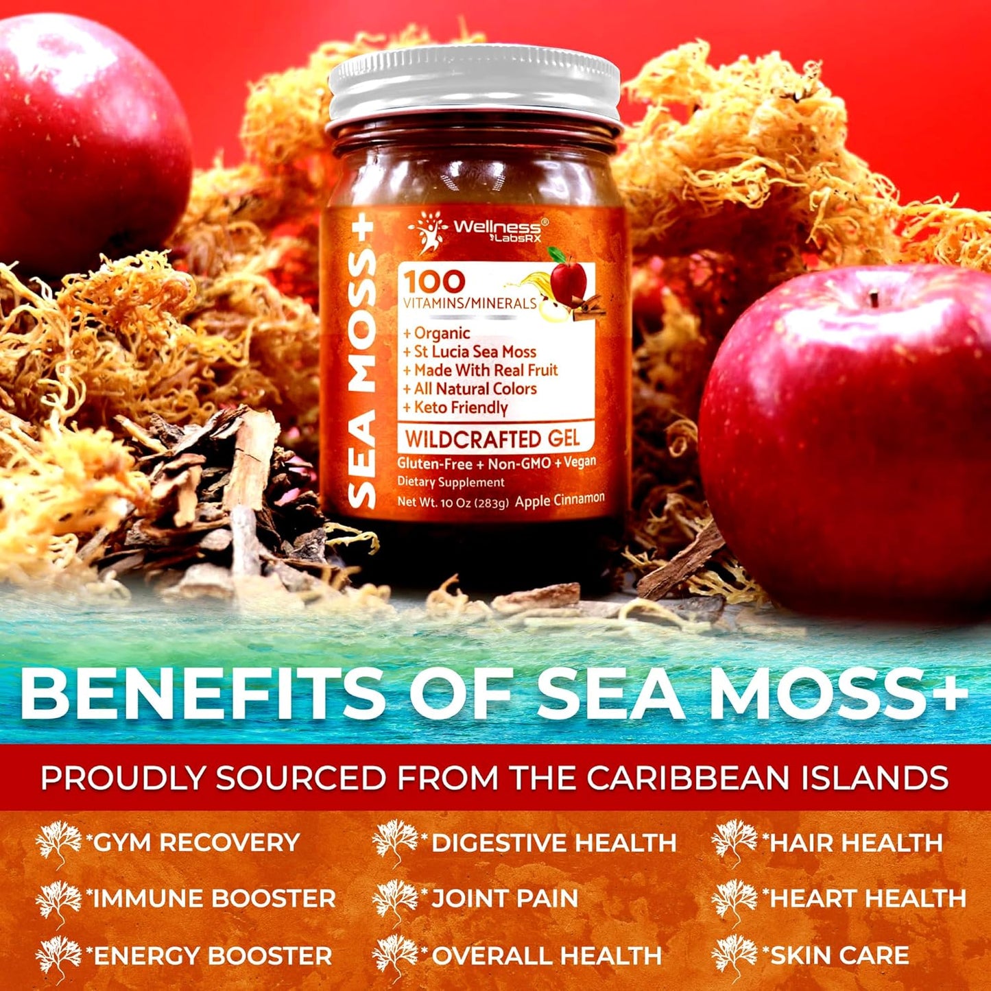 Organic Raw Irish Sea Moss Gel with Apple Cinnamon Flavor - Vitamin and Mineral-Rich Superfood for Immune & Digestive Health - 10 oz