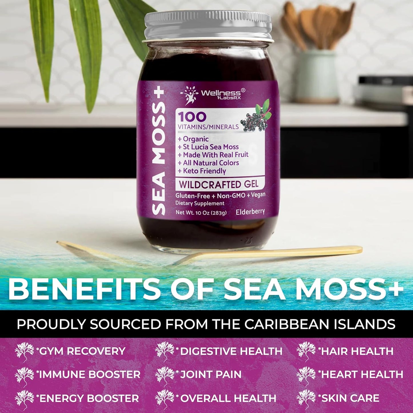 Organic Raw Irish Sea Moss Gel with Elderberry Flavor - Pristine Caribbean Superfood for Immune & Digestive Health - 10 oz.