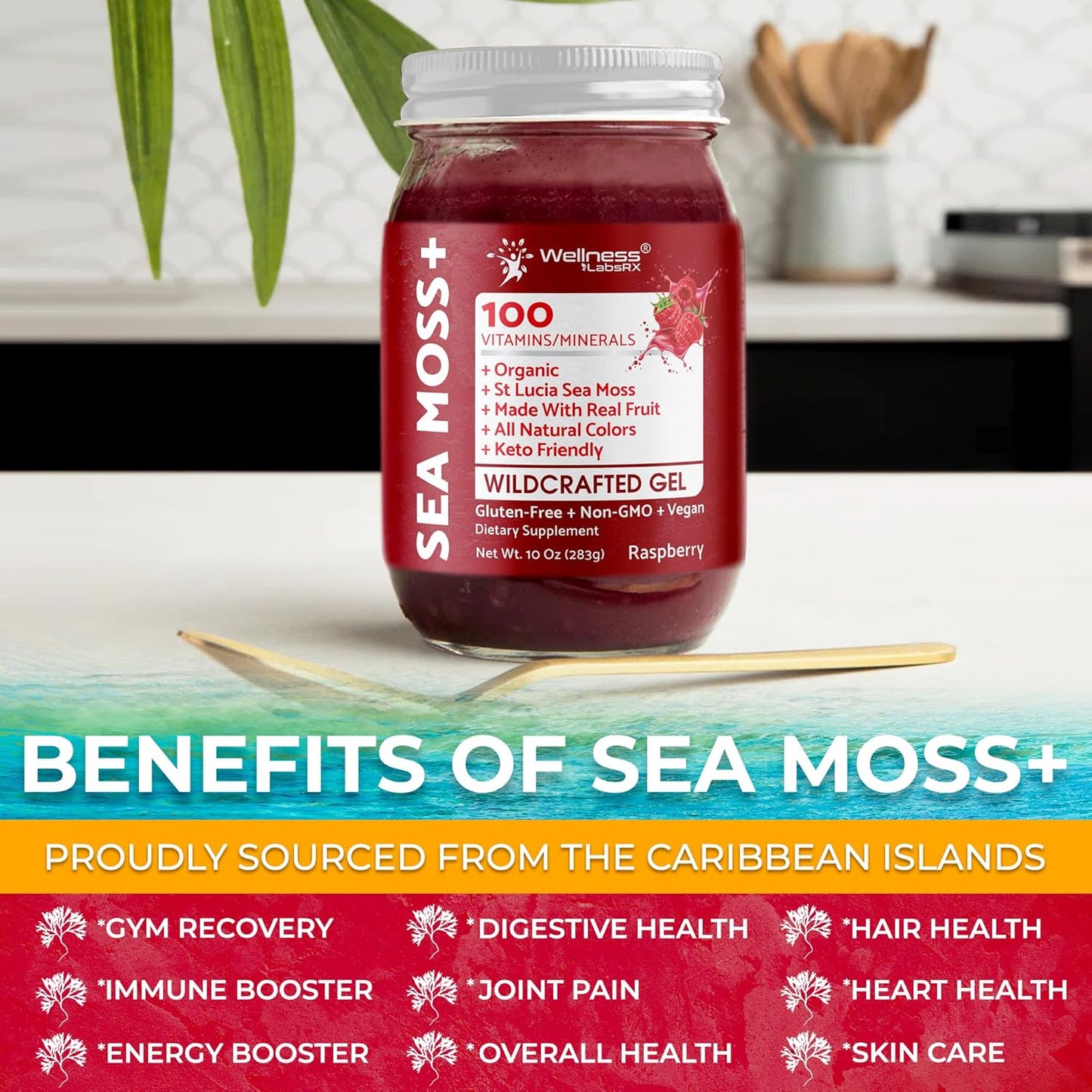 Organic Raw Irish Sea Moss Gel with Raspberry Flavor - 10 oz - Immune and Digestive Health Support from Caribbean Waters - Vitamin and Mineral-Rich Superfood Gel by WELLNESS LABSRX