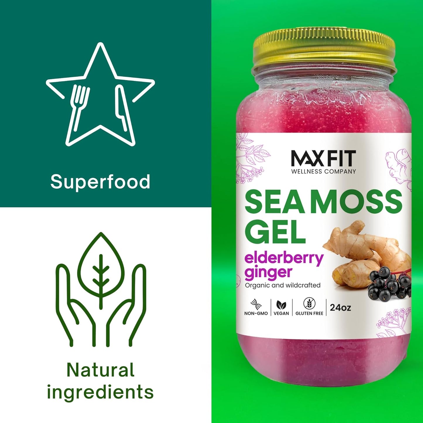 Organic Raw Sea Moss Gel Bundle - Apple Cinnamon & Elderberry Ginger Flavors - 24oz Jars (2 Pack) - Wildcrafted Gold Sea Moss Gel from Saint Lucia - Vegan Superfood with 92 Vitamins & Minerals