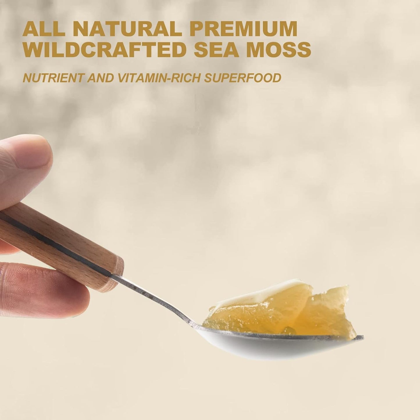 Organic Raw Sea Moss Gel: Immune & Digestive Support Supplement - Vitamin Mineral Antioxidants - Original Flavor 18.5oz