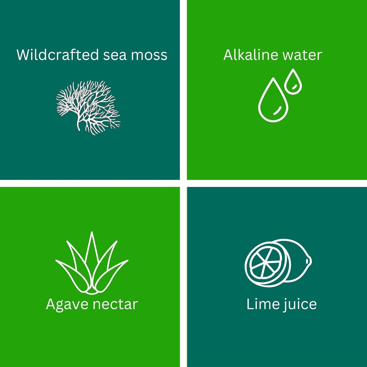 Organic Raw Sea Moss Gel with 12 Flavors | 24oz Wildcrafted Gold Gel from Saint Lucia | Vegan Superfood with 92 Vitamins and Minerals | Non-GMO