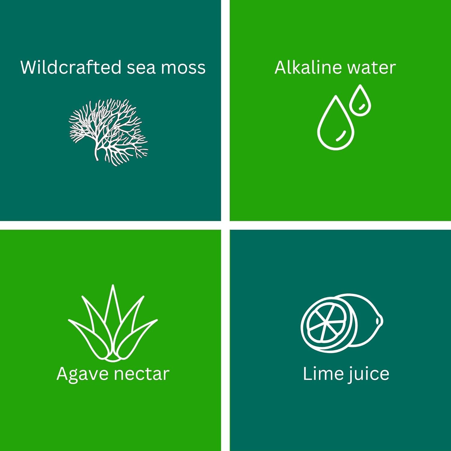 Organic Raw Sea Moss Gel with 12 Flavors | 24oz Wildcrafted Gold Gel from Saint Lucia | Vegan Superfood with 92 Vitamins and Minerals | Non-GMO