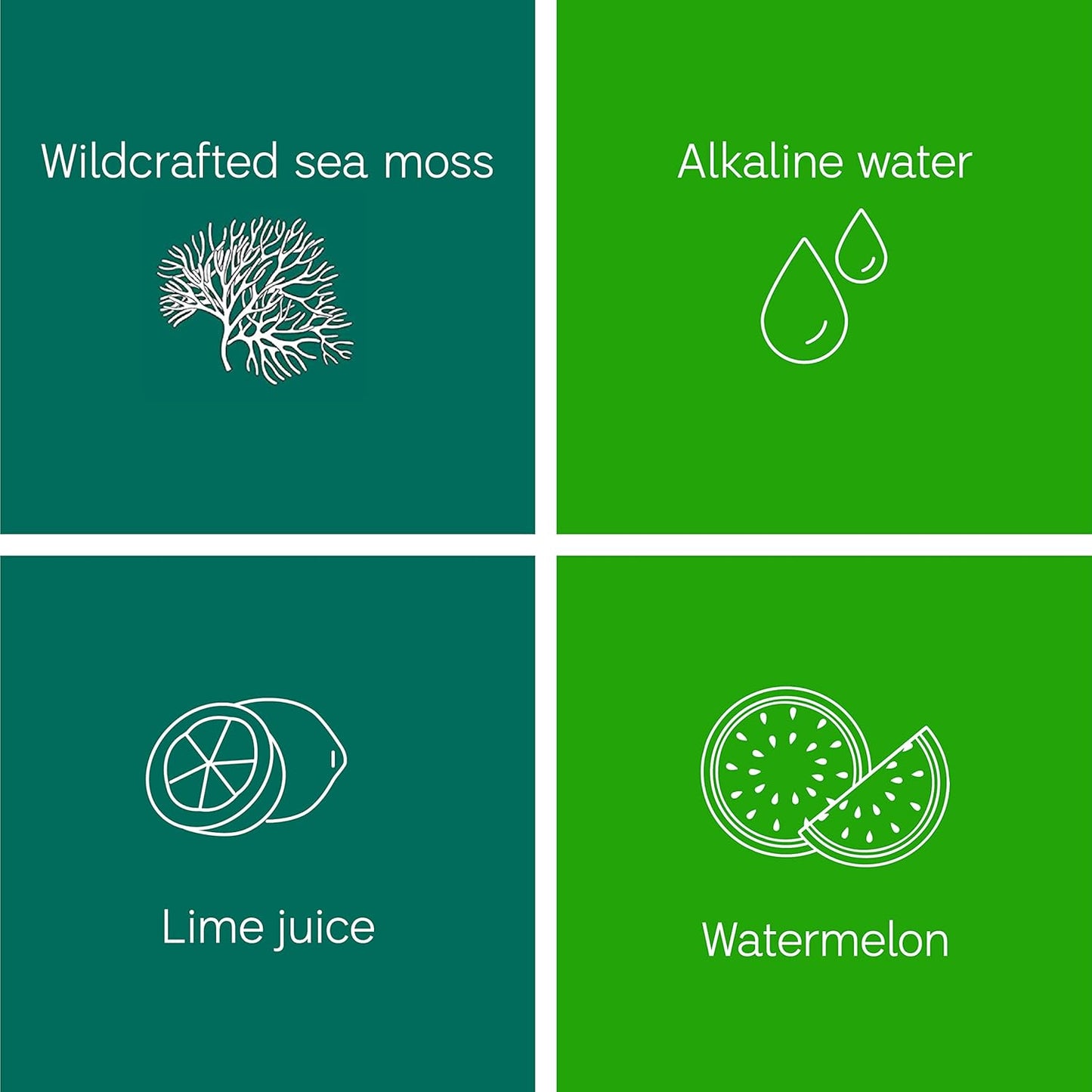 Organic Raw Sea Moss Gel with 24 Flavors, 24oz - Wildсrafted Gold Sea Moss from Saint Lucia | 92 Vitamins & Minerals | Non-GMO Vegan Superfood