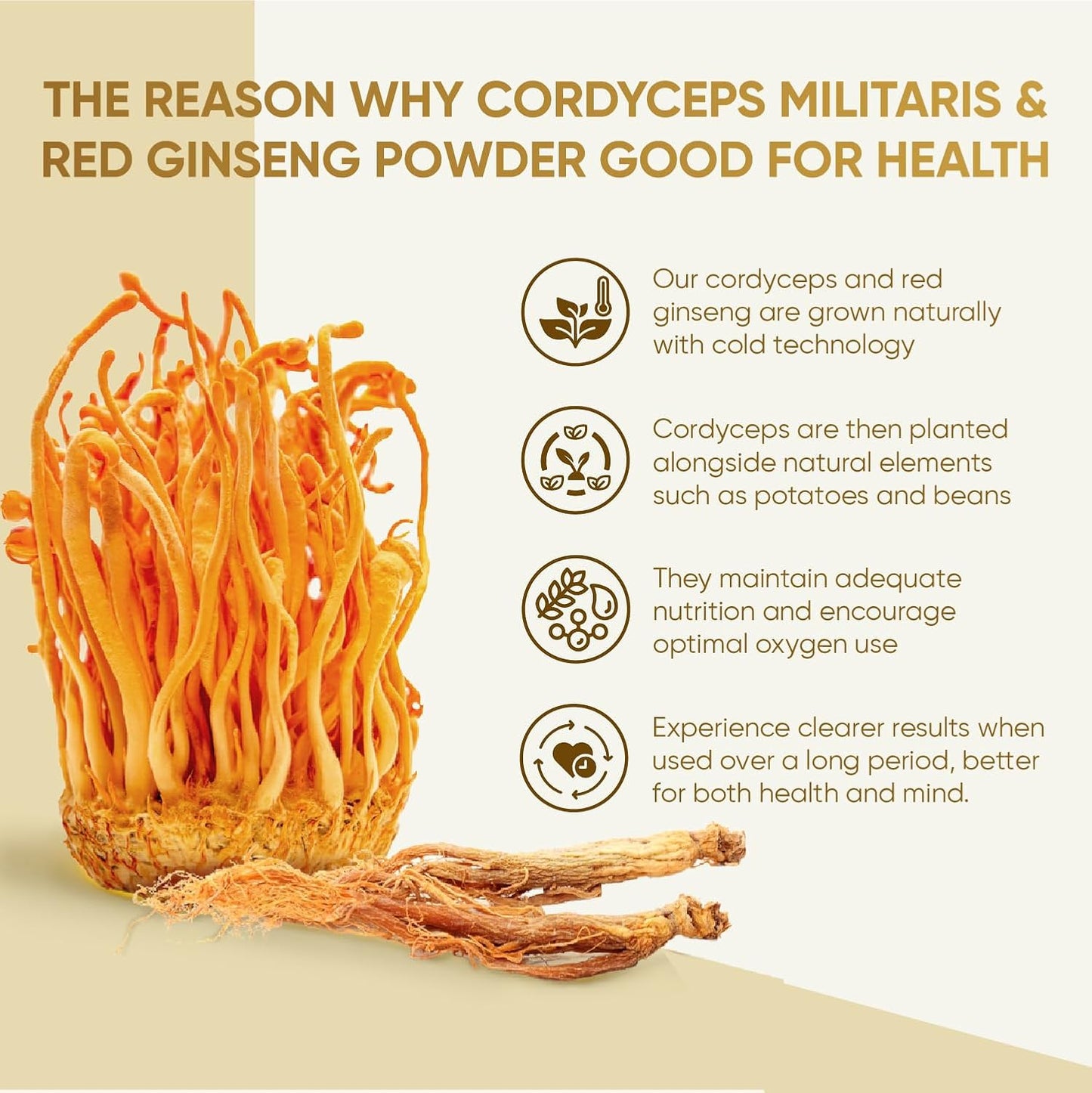 Organic Red Ginseng and Cordyceps Powder - 6 in 1 Herbal Extract for Alertness and Energy, Caffeine Free (30 Pack)