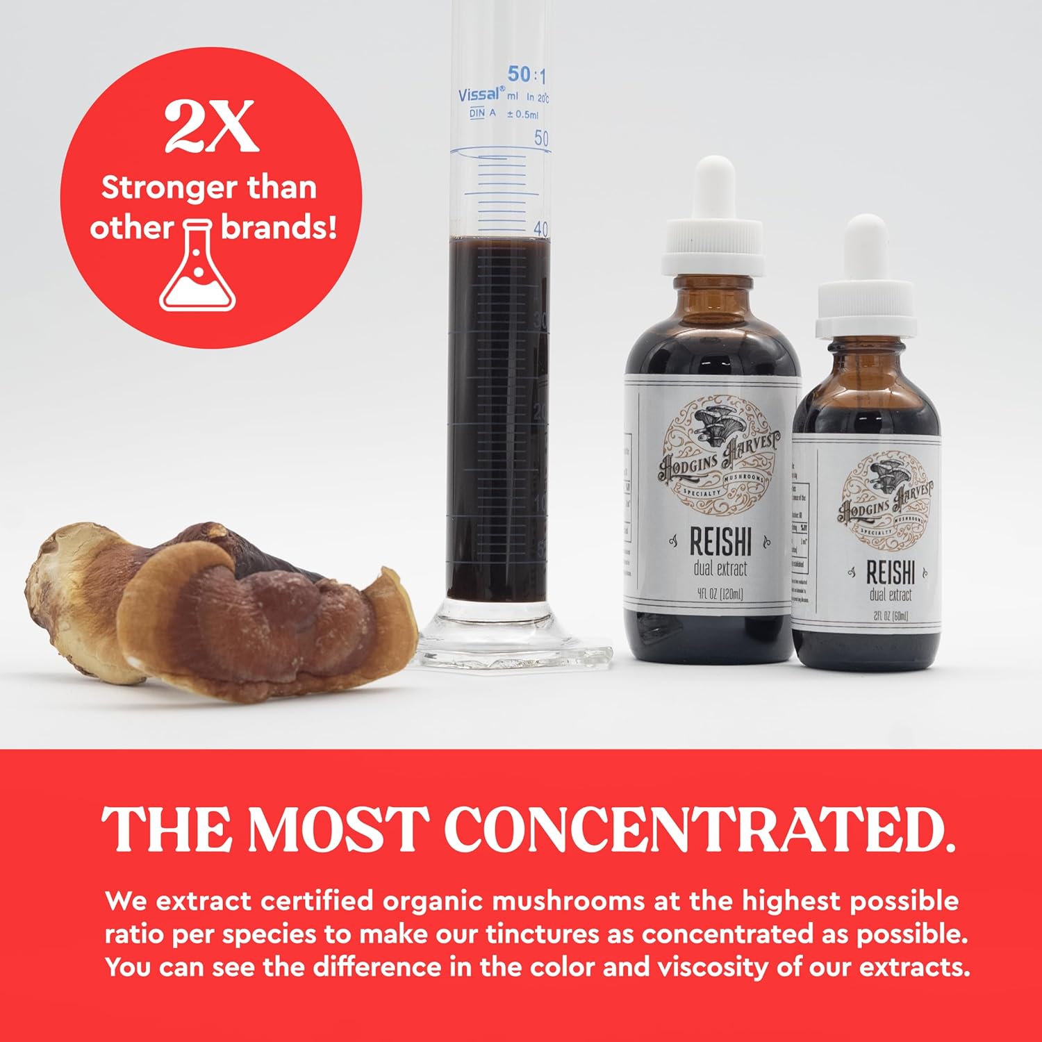 Organic Reishi Tincture Made with USA-Grown Mushrooms | Dual Extract | Extra-Concentrated (2 fl oz) by Hodgins Harvest