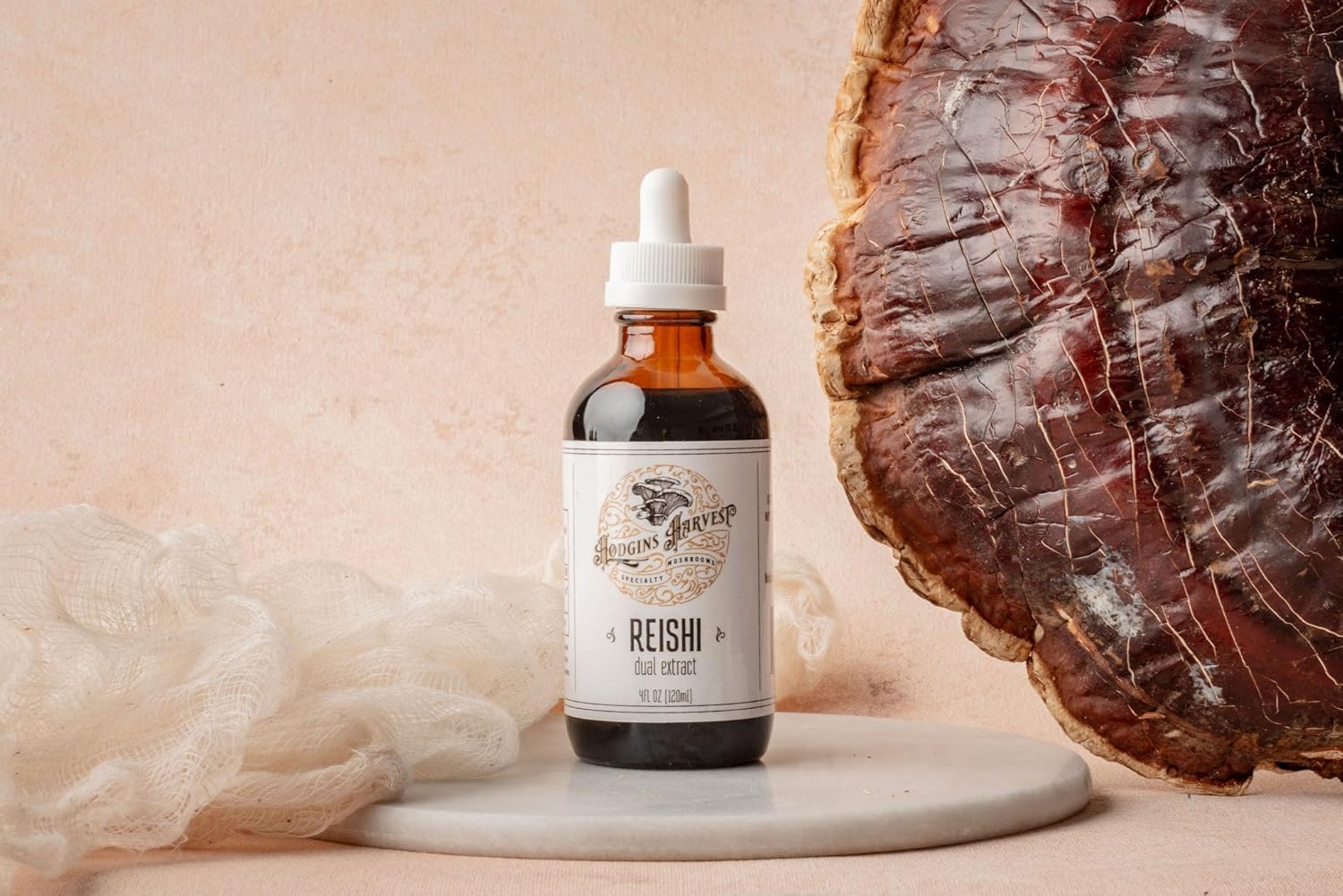 Organic Reishi Tincture Made with USA-Grown Mushrooms | Dual Extract | Extra-Concentrated (2 fl oz) by Hodgins Harvest
