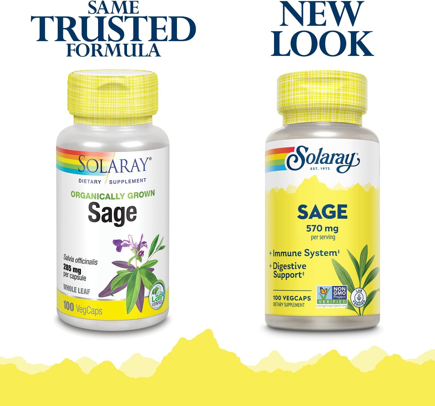 Organic Sage Leaf Capsules - 570mg per Serving - Promotes Healthy Body Odor, Immune Function & Digestive System - 100 Vegetarian Capsules