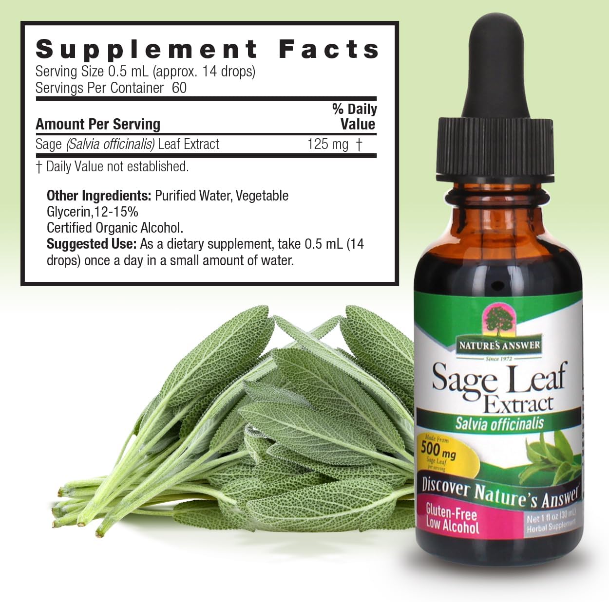 Organic Sage Leaf Tincture - 1oz | Supports Digestion & Mental Clarity | Gut Health Booster