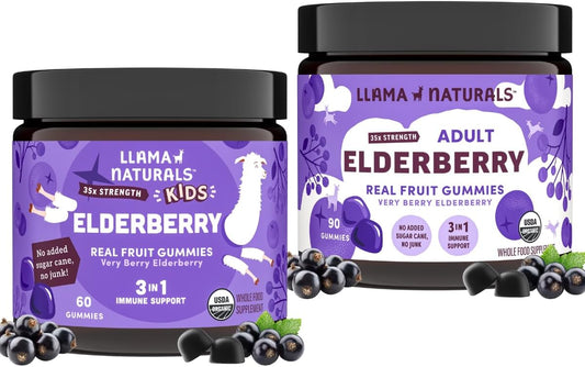 Organic Sambucus Elderberry Gummies for Kids & Adults | Immune Support with Zinc & Vitamin C | Vegan, No Added Sugar | Plant-Based Chewable Gummies for the Whole Family