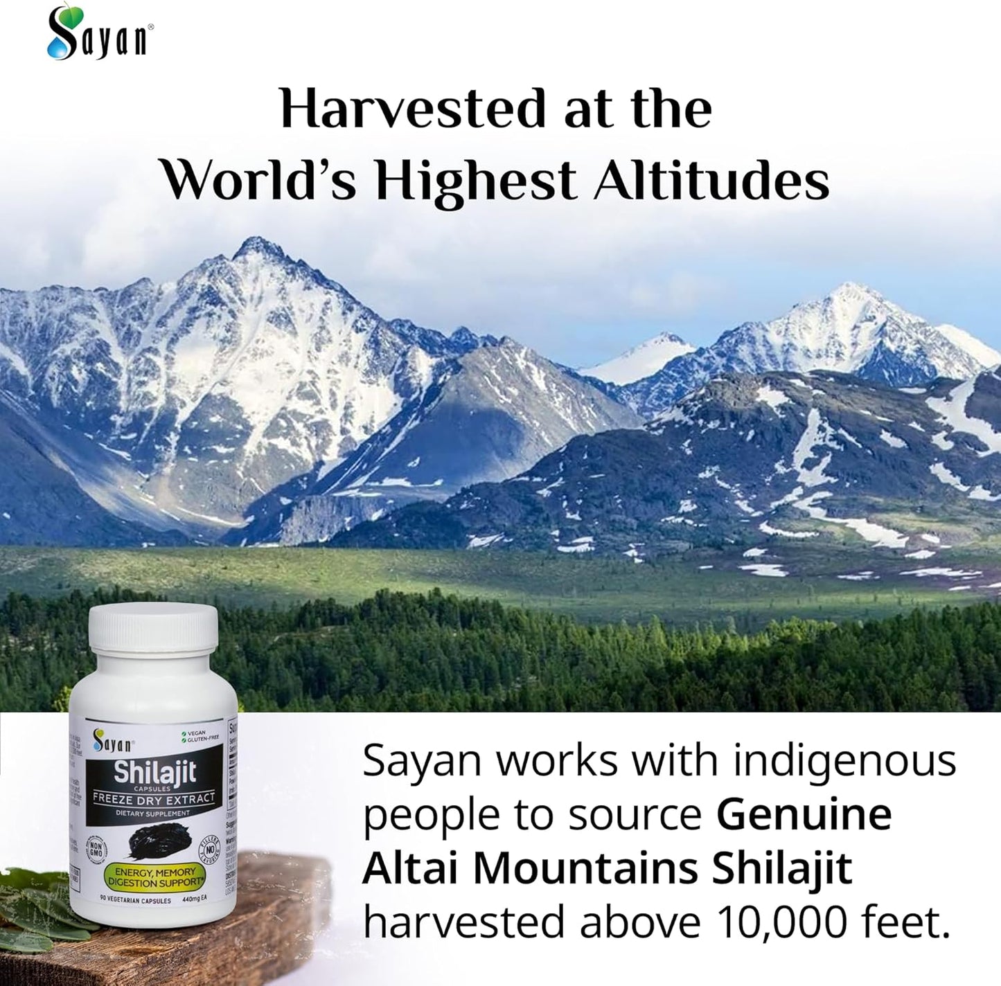 Organic Sayan Shilajit Capsules - 90 Count, 440mg - High Fulvic Acid, Immune Support, Energy Boost - Non-GMO, No Fillers - Natural Cleanse Supplement