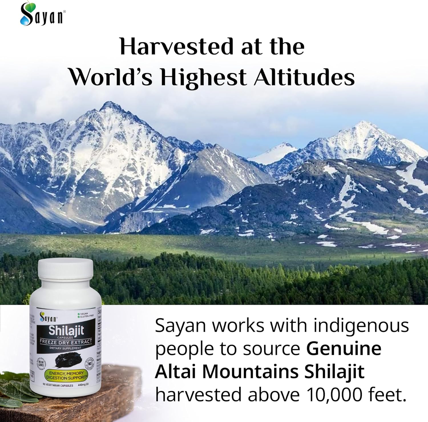 Organic Sayan Shilajit Capsules - 90 Count, 440mg - High Fulvic Acid, Immune Support, Energy Boost - Non-GMO, No Fillers - Natural Cleanse Supplement