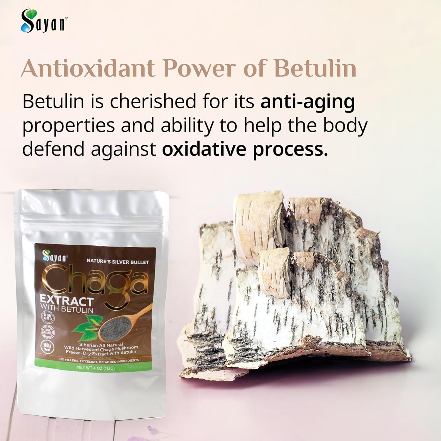 Organic Sayan Siberian Chaga Mushroom Extract with Betulin Powder - 2 oz Antioxidant Blend for Immune Support & Wellness - Mix with Yogurt or Smoothies