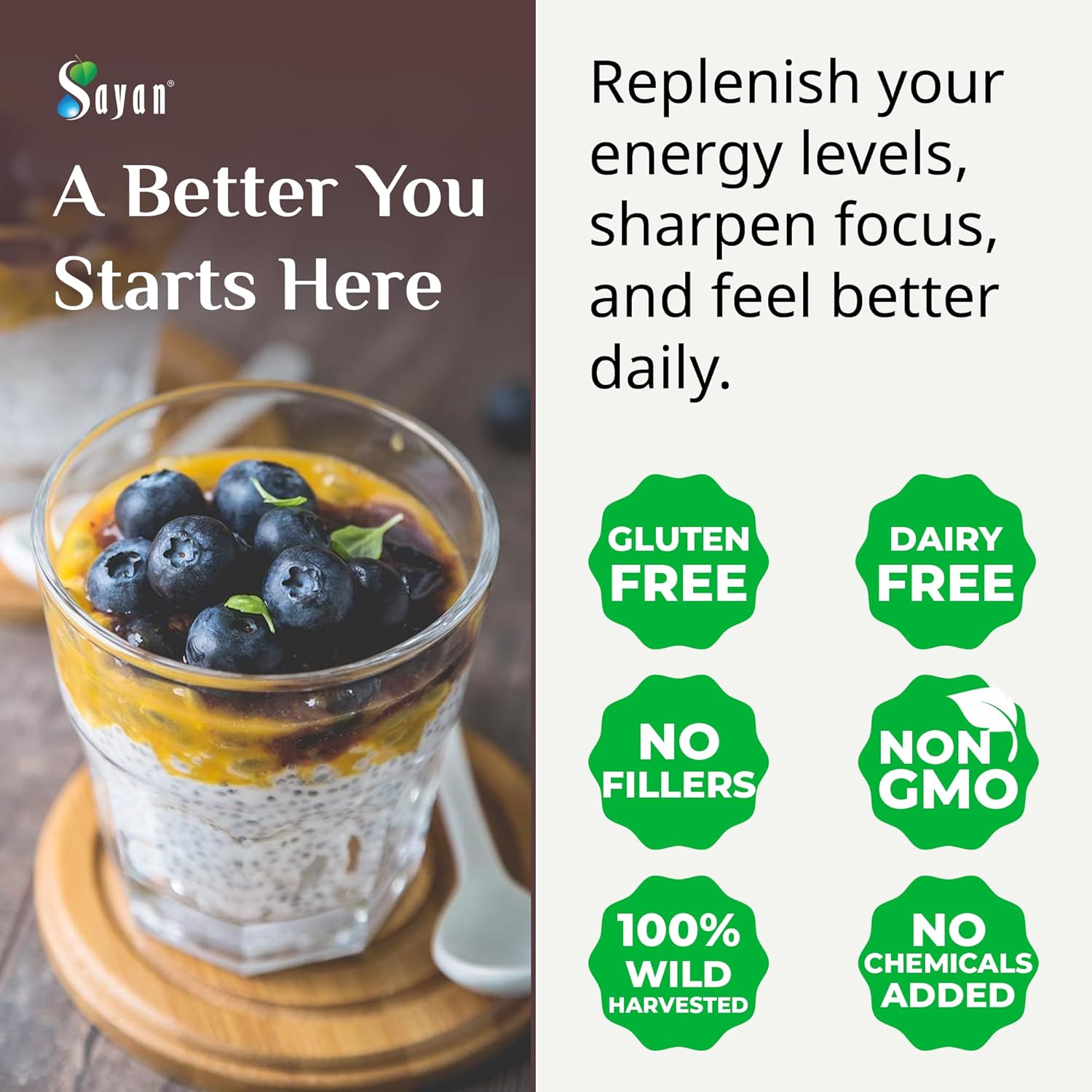 Organic Sayan Siberian Chaga Mushroom Extract with Betulin Powder - 2 oz Antioxidant Blend for Immune Support & Wellness - Mix with Yogurt or Smoothies