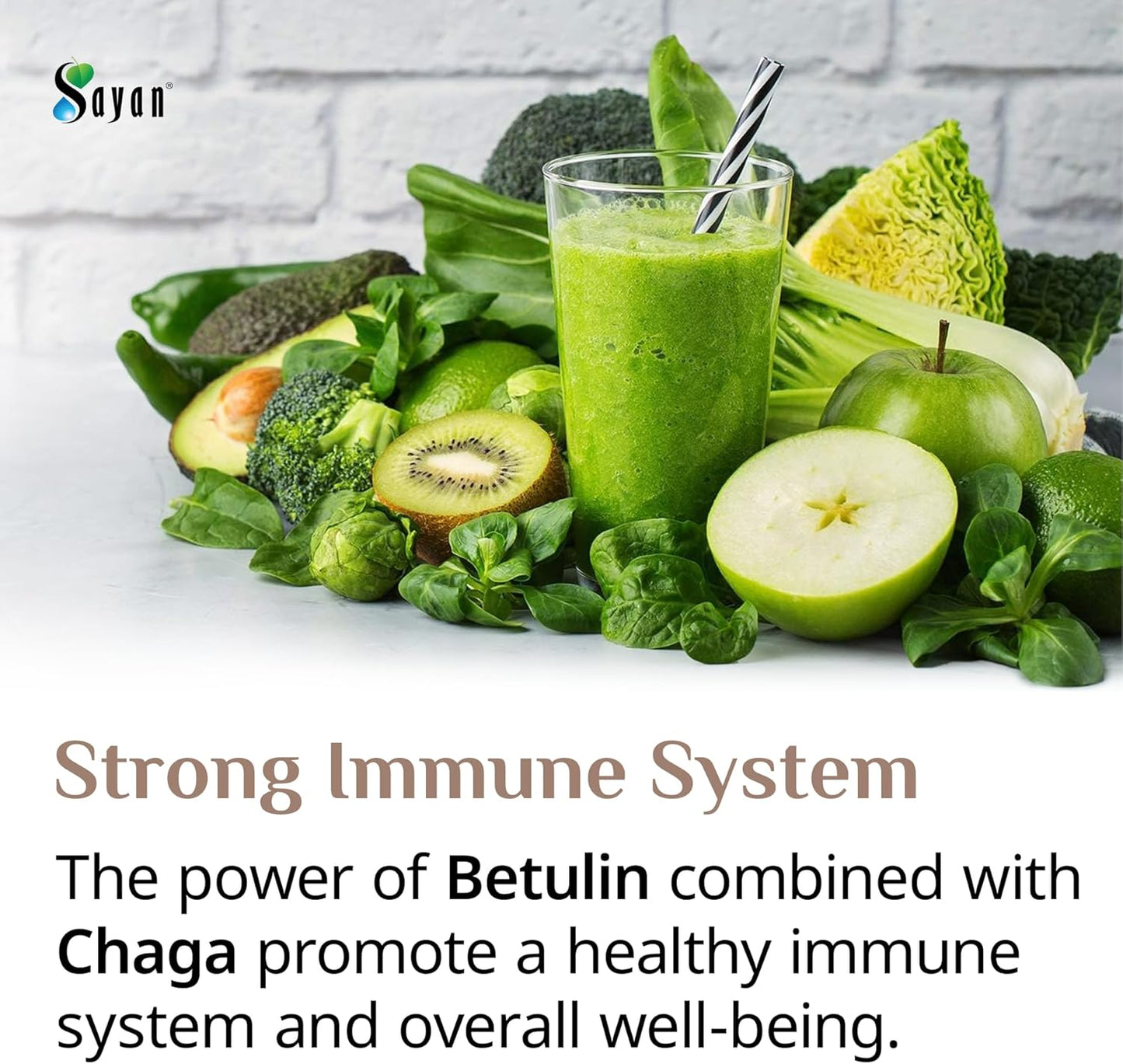 Organic Sayan Siberian Chaga Mushroom Extract with Betulin Powder - 2 oz Antioxidant Blend for Immune Support & Wellness - Mix with Yogurt or Smoothies