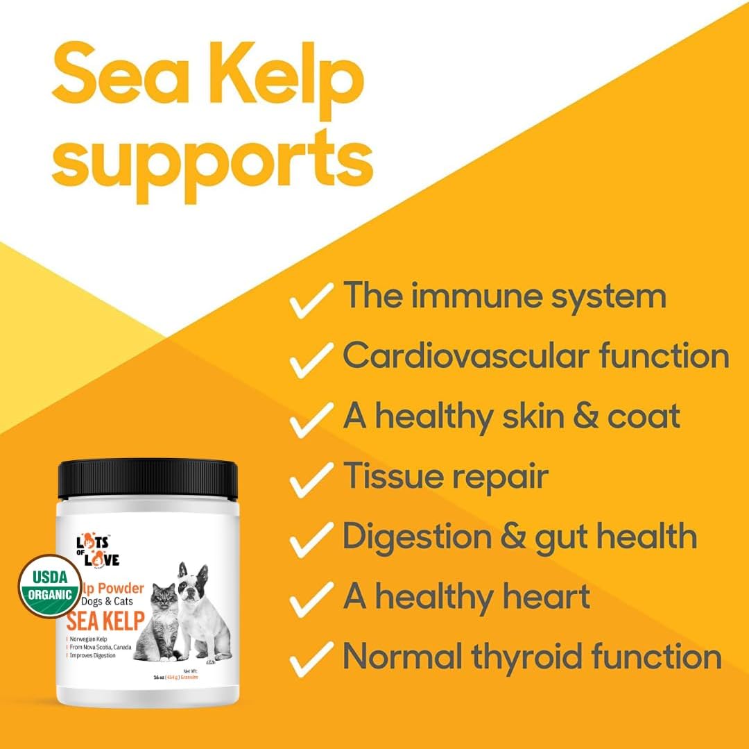 Organic Sea Kelp Supplement Granules for Dogs & Cats - 16 Oz, 1 Pound