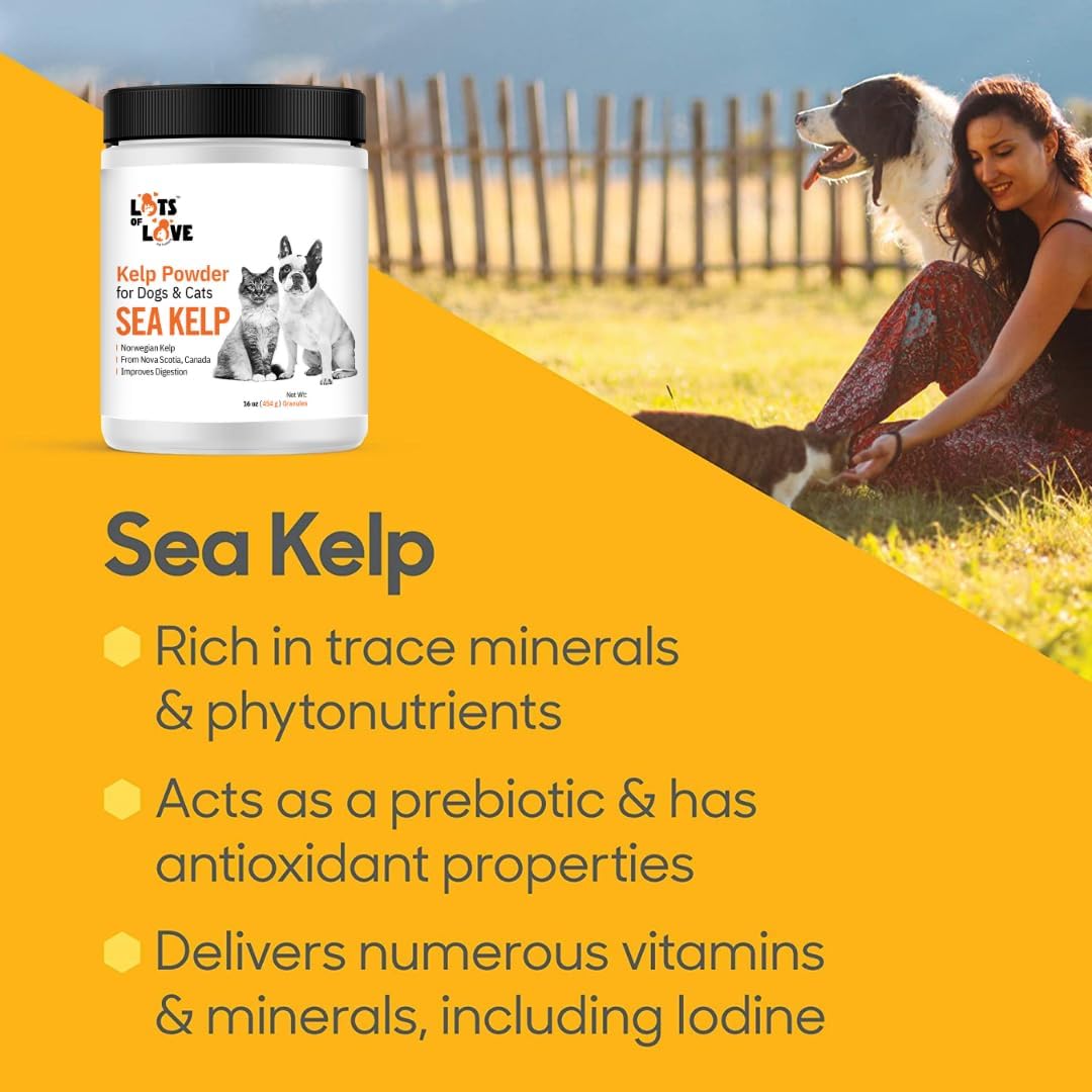 Organic Sea Kelp Supplement Granules for Dogs & Cats - 16 Oz, 1 Pound