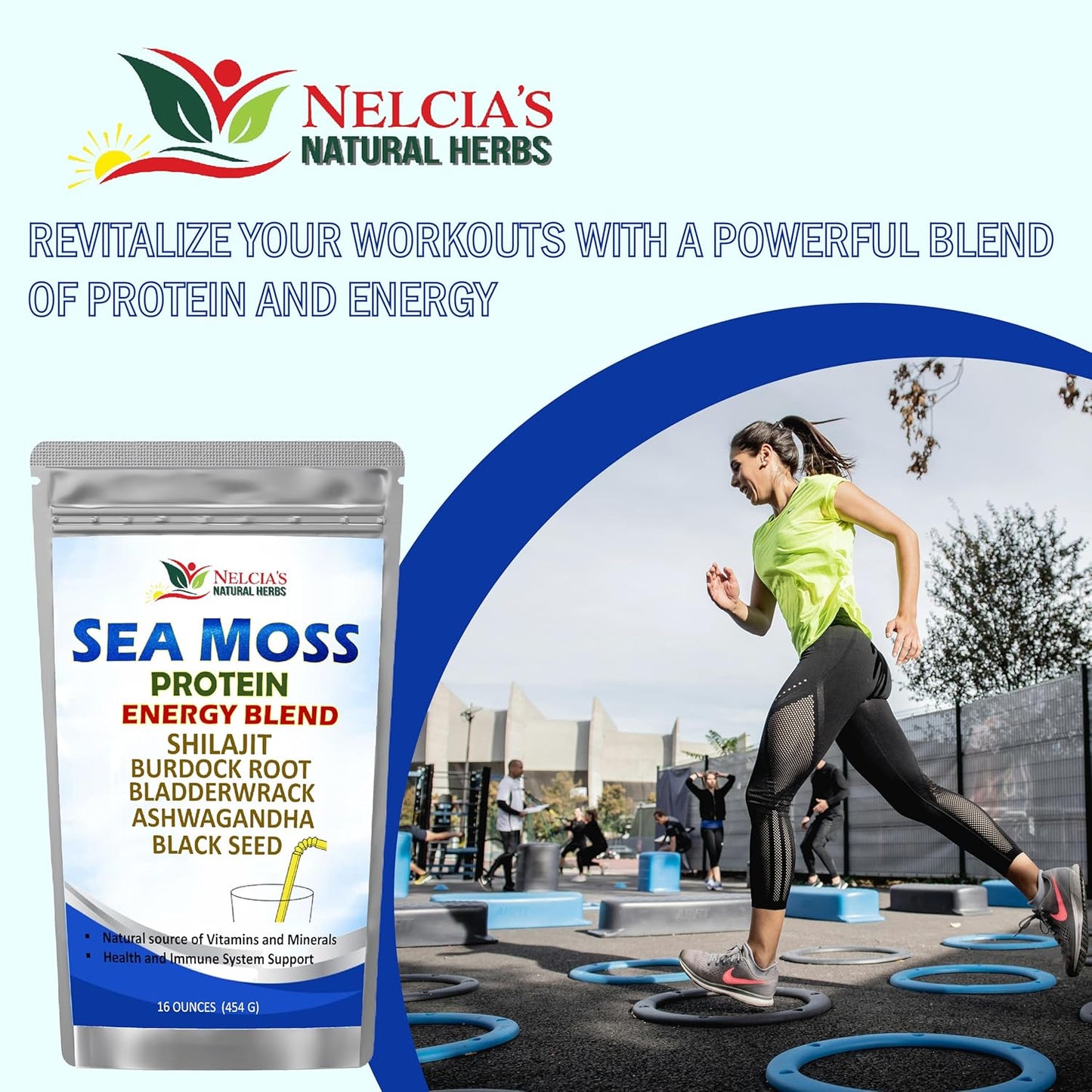 Organic Sea Moss Ashwagandha Protein Powder with Black Seed - Natural Irish Sea Moss, Bladderwrack, Burdock Root, Shilajit (16oz)