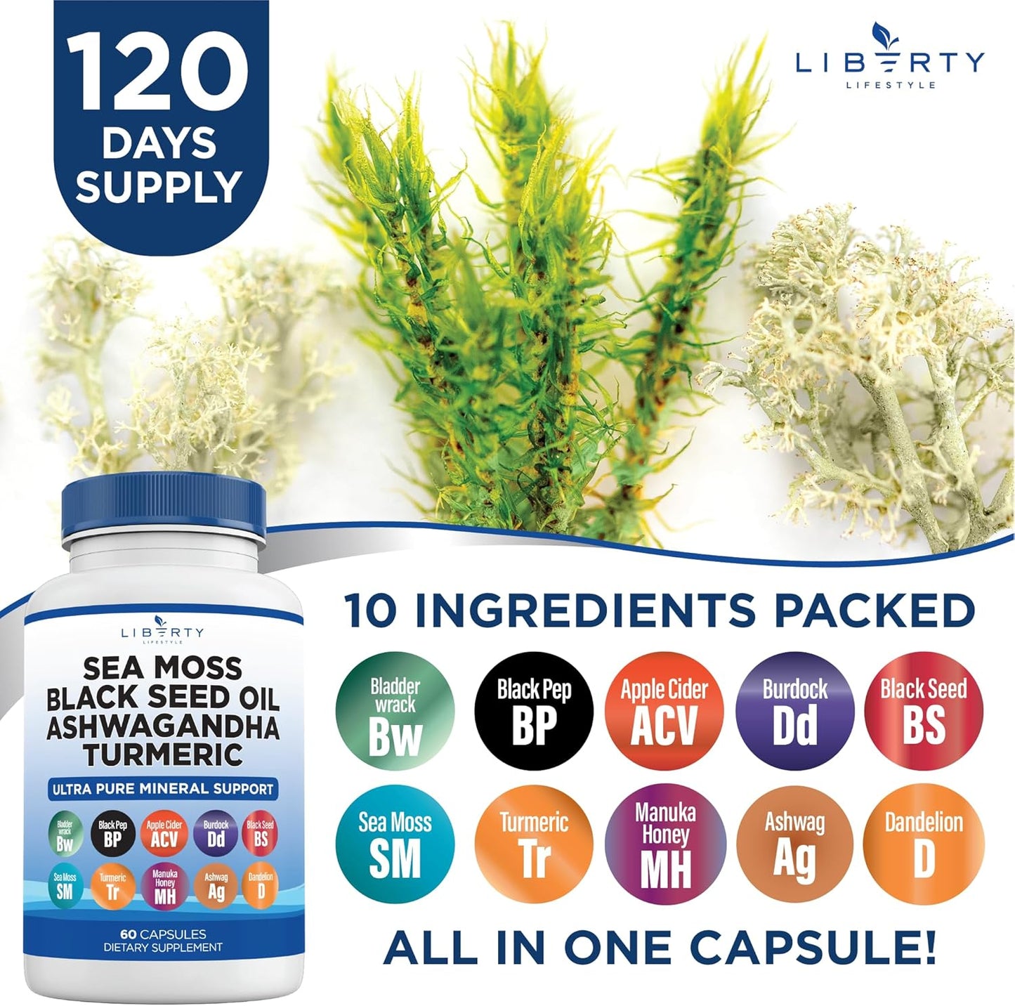 Organic Sea Moss Black Seed Oil with Ashwagandha, Turmeric, Bladderwrack, and Burdock - Infused with Manuka Honey, Dandelion, ACV, and Black Pepper - Gluten-Free Formula - 1-Pack