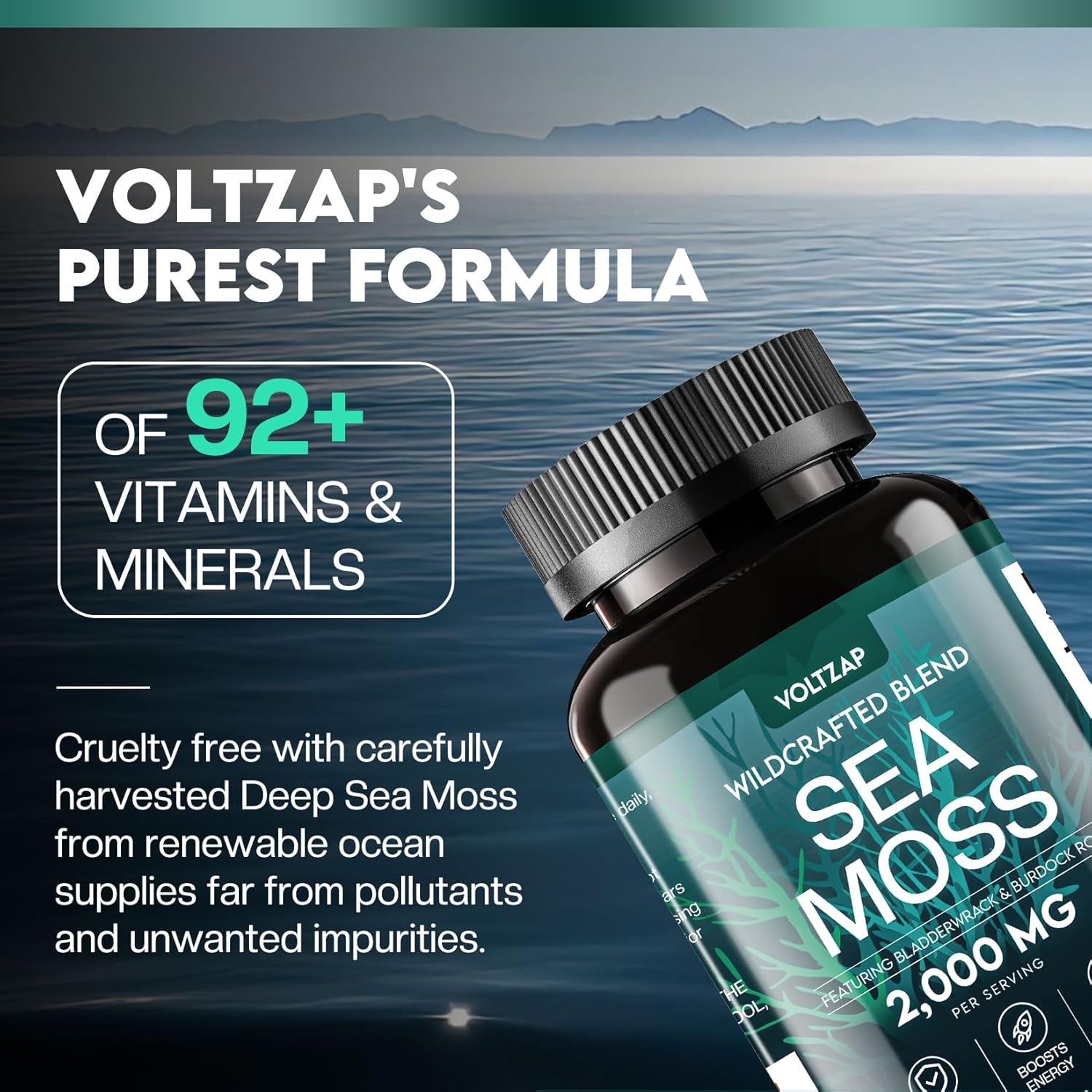Organic Sea Moss Capsules 2000mg with Vitamin D3 K2 - Irish Sea Moss, Burdock Root, Bladderwrack, Muira Puama - 120 Capsules