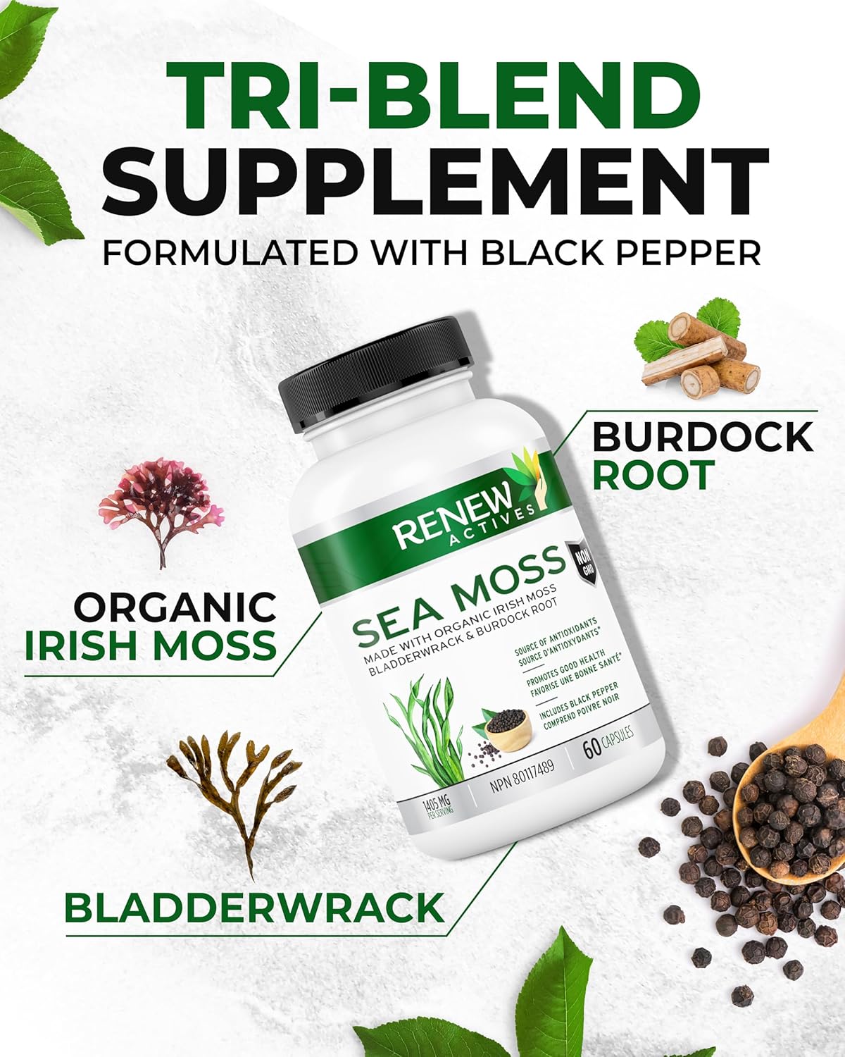 Organic Sea Moss Capsules with BioPerine for Superior Antioxidant Benefits - Premium Triple-Action Blend with Bladderwrack & Burdock Root - 60 Capsules