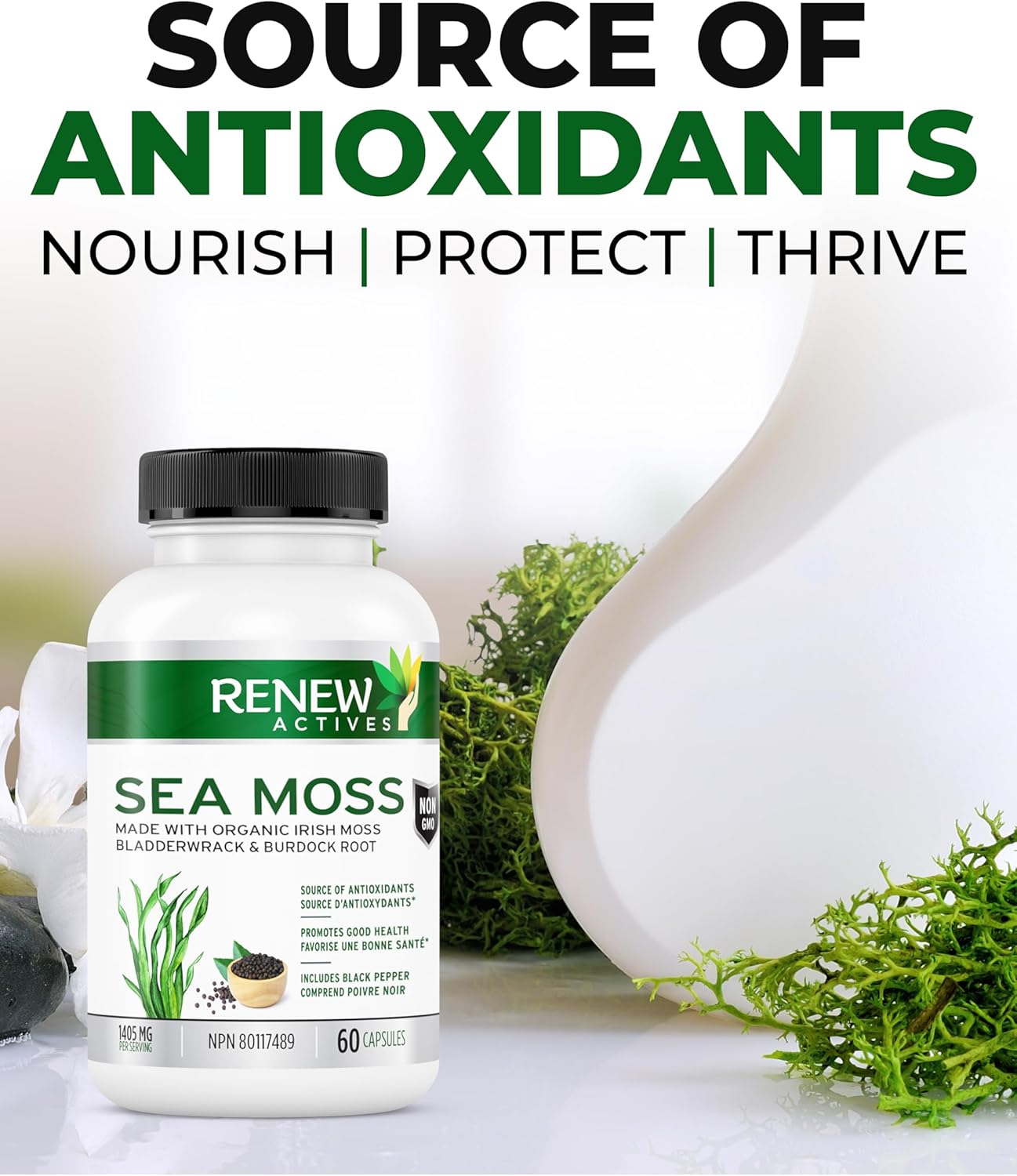 Organic Sea Moss Capsules with BioPerine for Superior Antioxidant Benefits - Premium Triple-Action Blend with Bladderwrack & Burdock Root - 60 Capsules