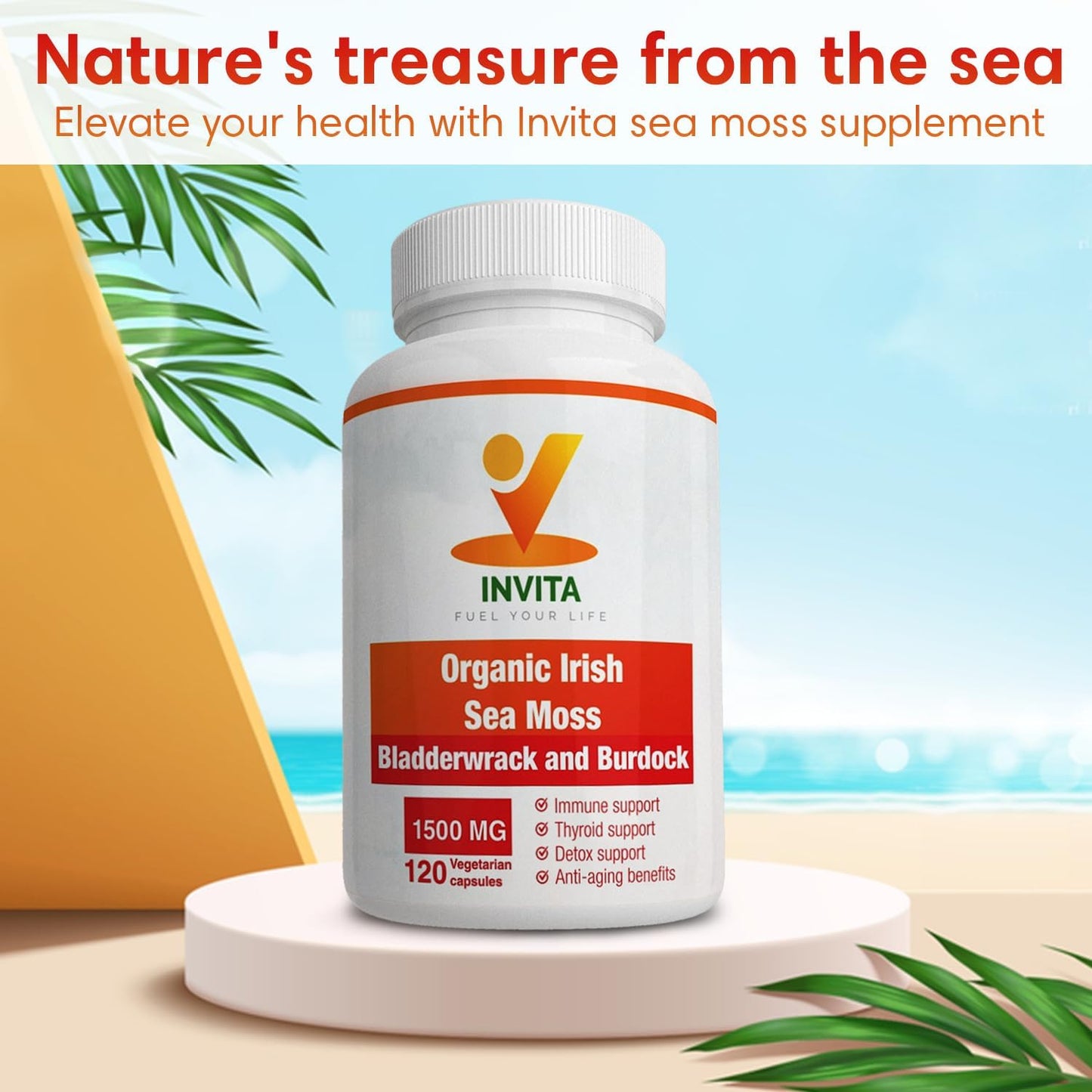 Organic Sea Moss Capsules with Bladderwrack & Burdock Root - 1500mg Superfood Supplement for Immune System, Detox, Joints, Gut Health - 120 Capsules