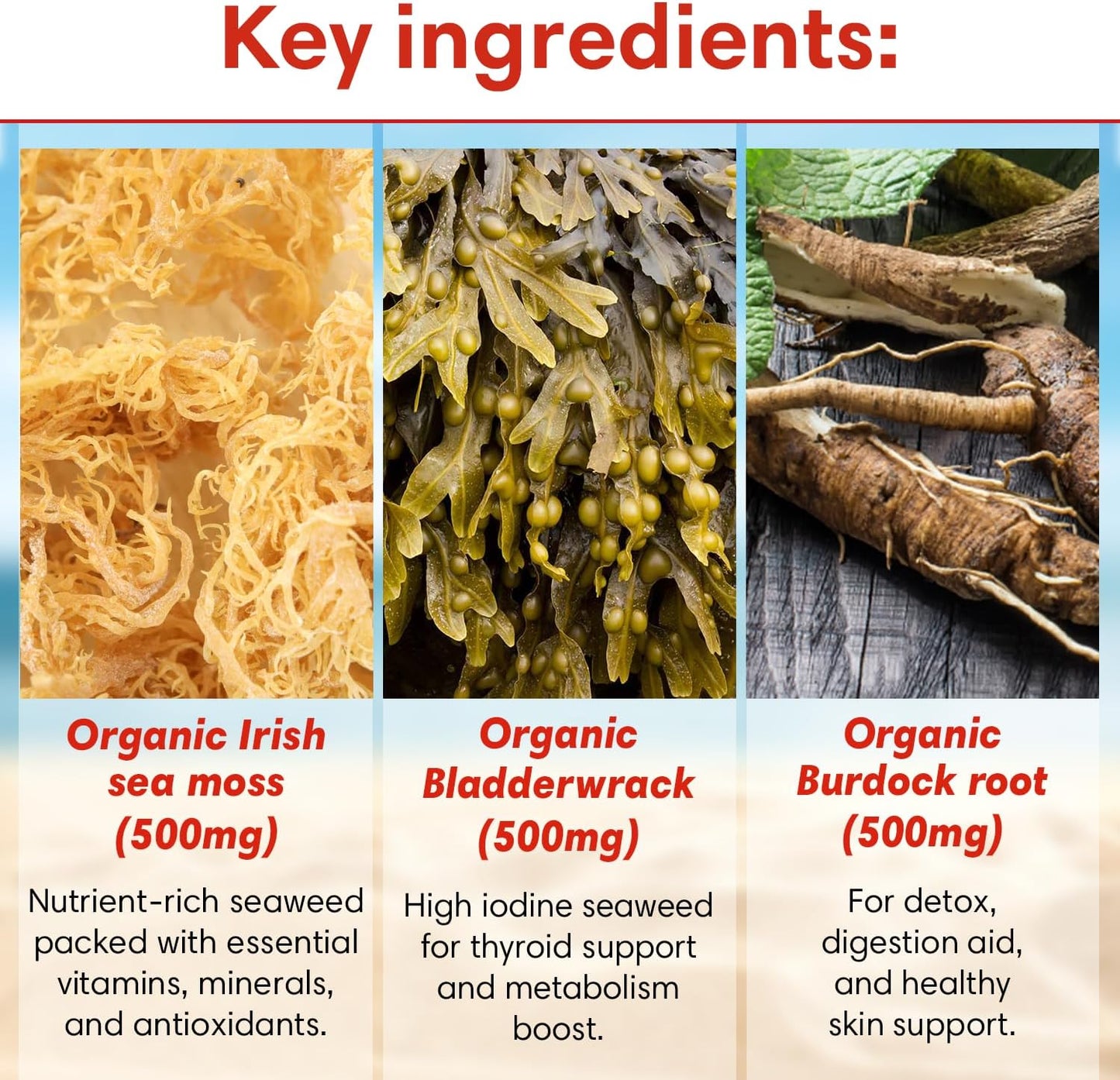 Organic Sea Moss Capsules with Bladderwrack & Burdock Root - 1500mg Superfood Supplement for Immune System, Detox, Joints, Gut Health - 120 Capsules