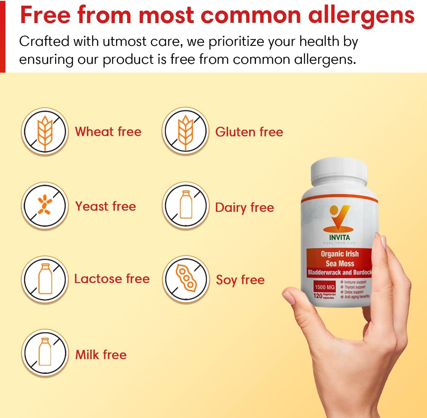 Organic Sea Moss Capsules with Bladderwrack & Burdock Root - 1500mg Superfood Supplement for Immune System, Detox, Joints, Gut Health - 120 Capsules