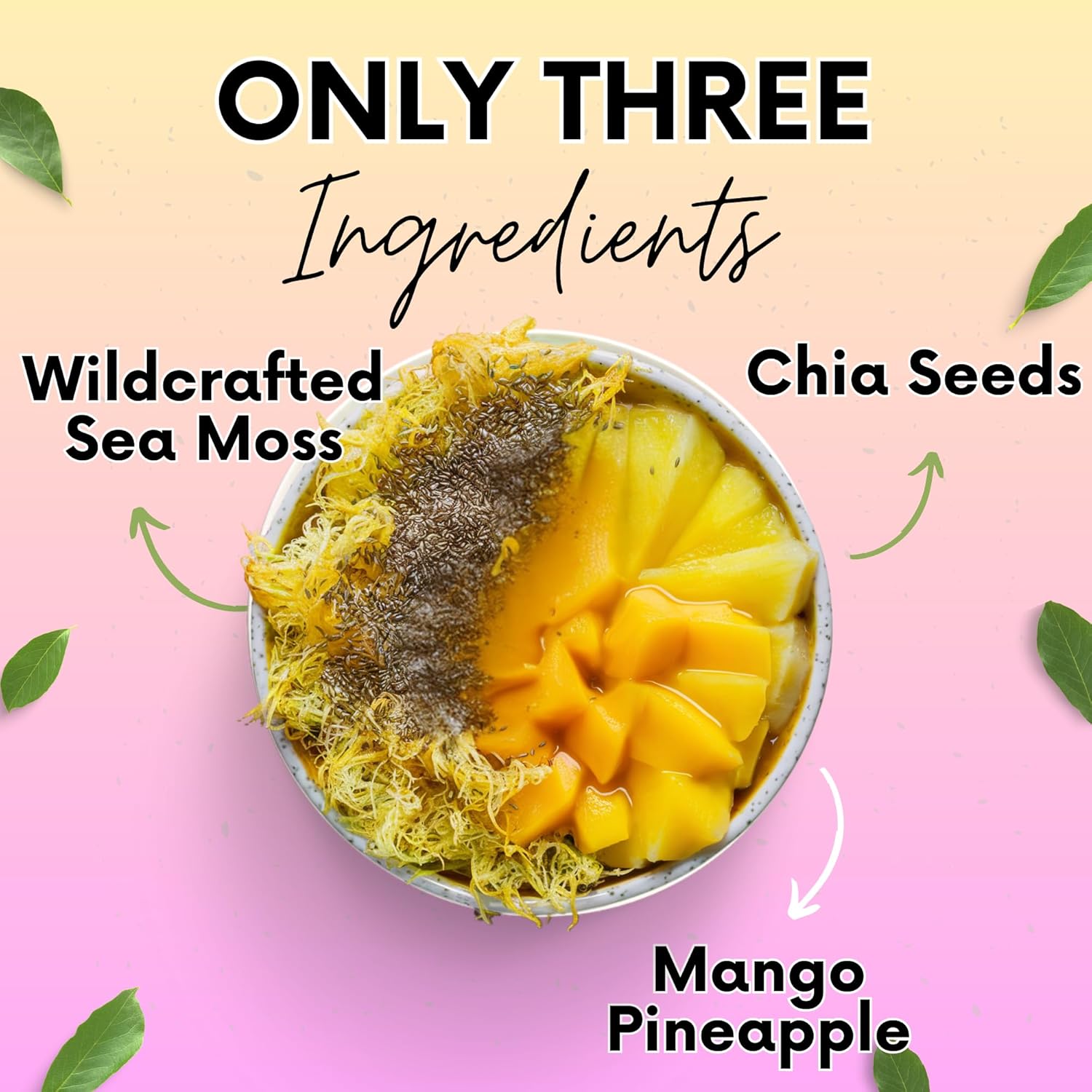 Organic Sea Moss Gel with Chia Seeds - Immune & Digestive Support, Vegan Superfood - Mango Pineapple Flavor - 16 oz - Made in USA