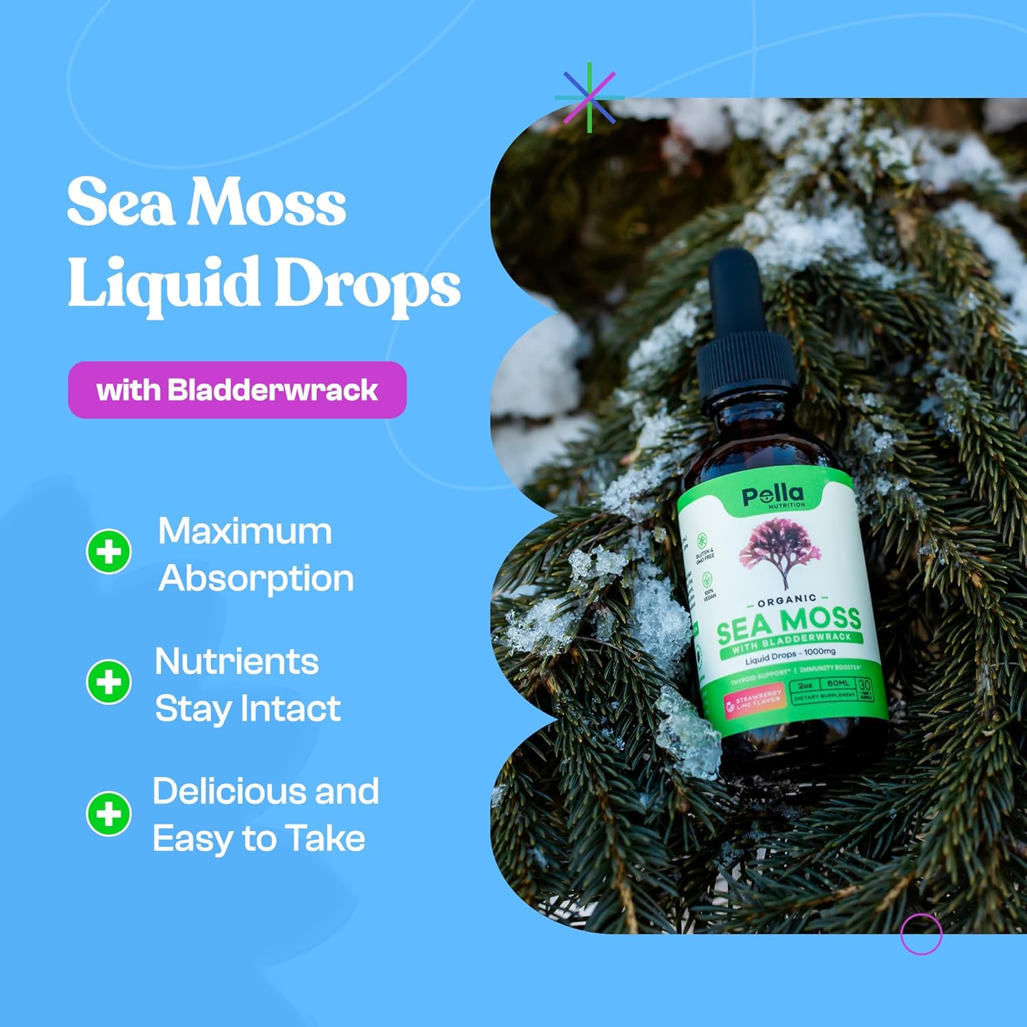 Organic Sea Moss & Quercetin Liquid Drops Bundle - 750mg & 1000mg - Pella Nutrition Drops Of Nature