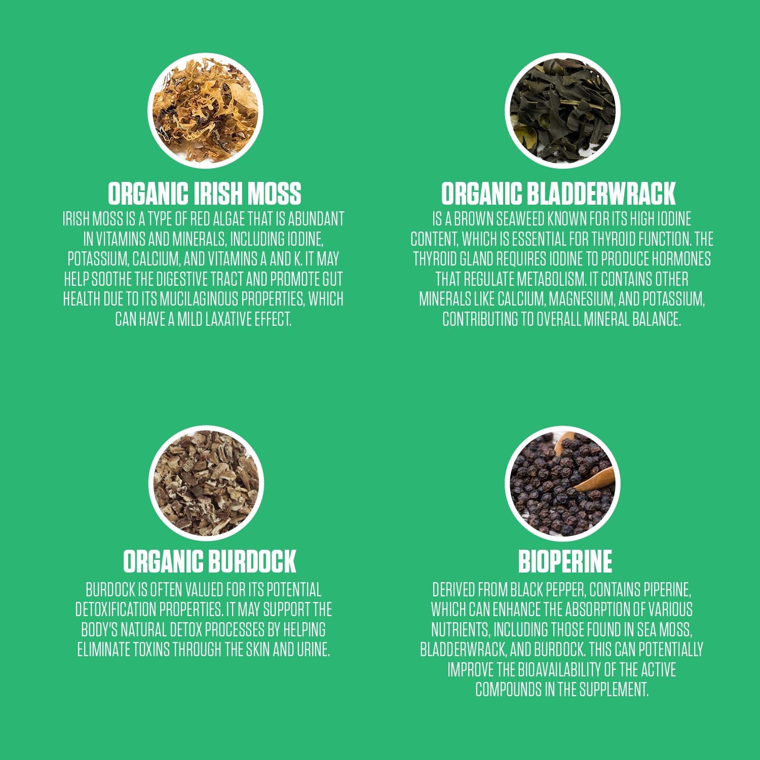 Organic Sea Moss Supplement with Bladderwrack, Burdock & BioPerine | Boost Energy and Immune Health with All-Natural Irish Sea Moss Capsules | Vegan-Friendly - 60 Count