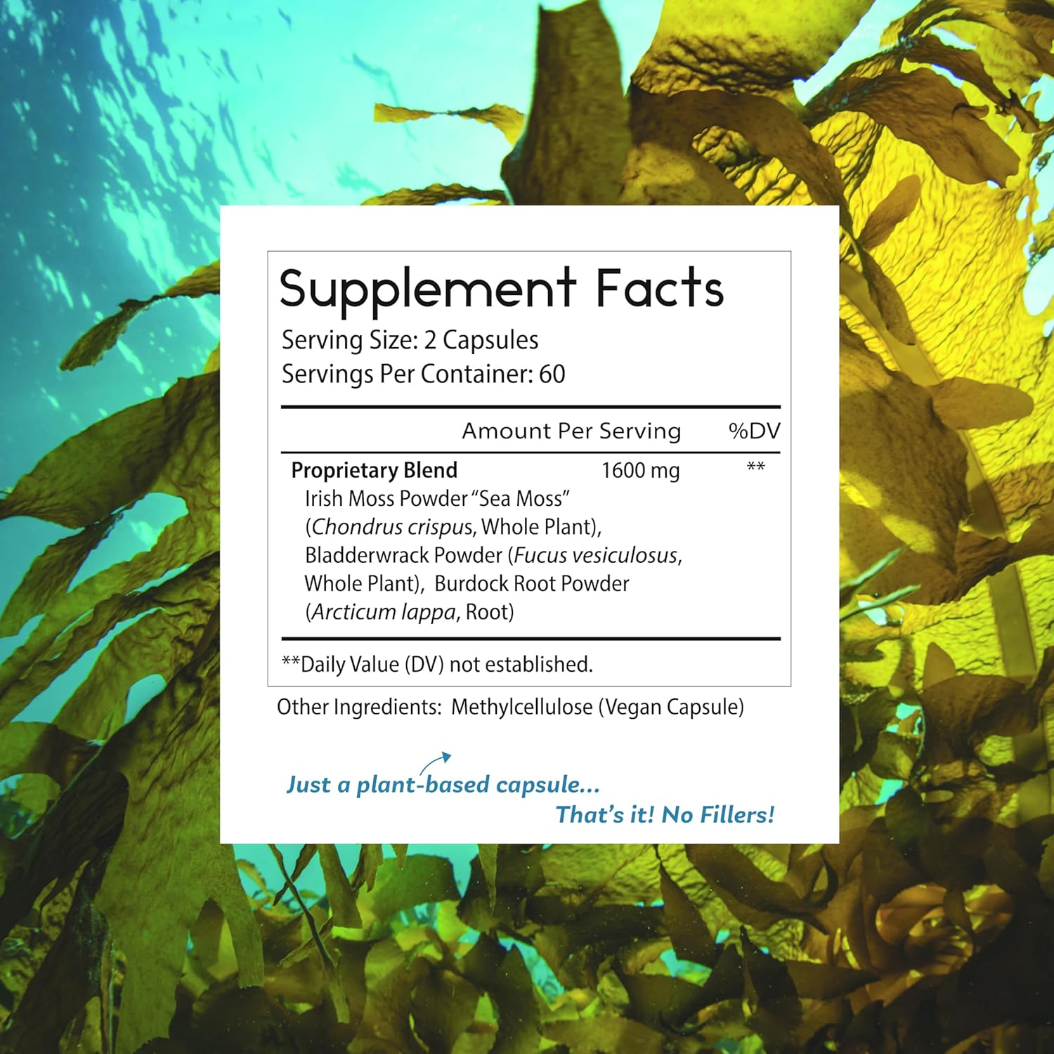 Organic Sea Moss with Burdock and Bladderwrack Capsules - Immune & Digestive Health Support, Keto Detox, Energy & Joint Support - 120 Count