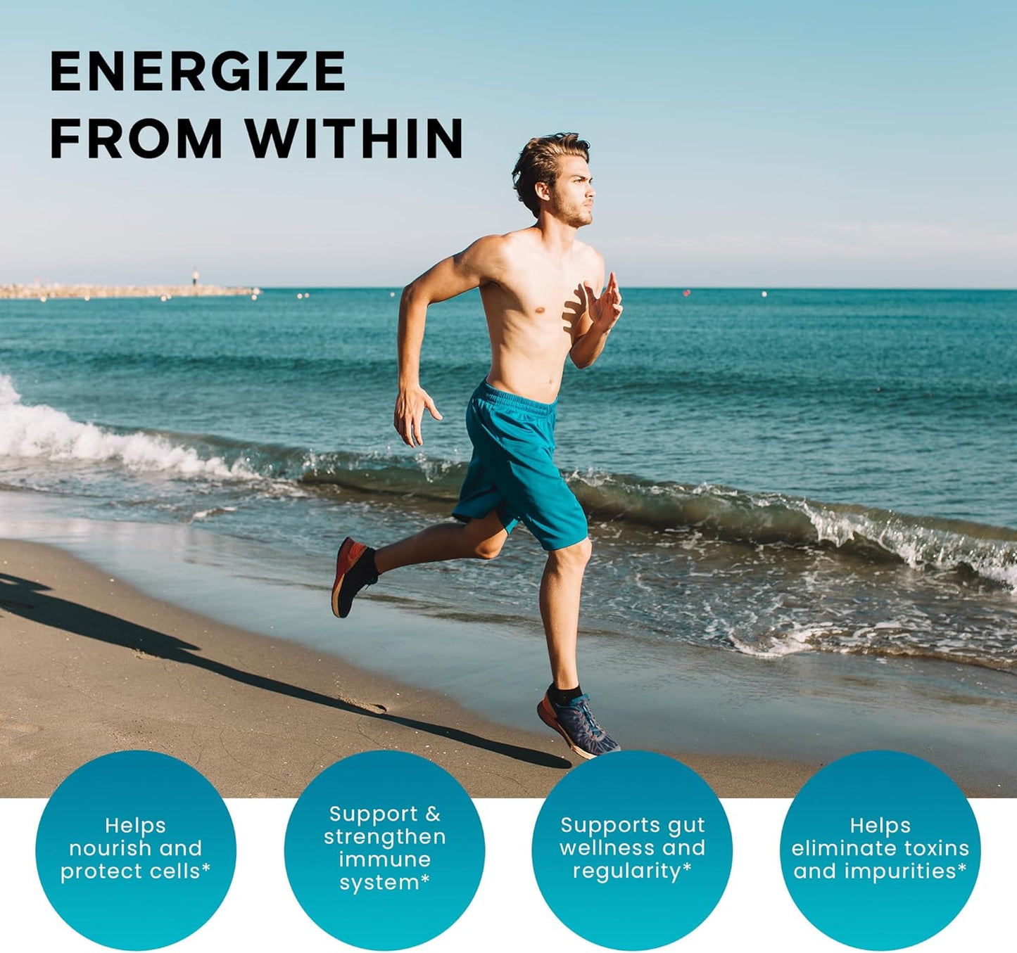 Organic Sea Moss with Burdock and Bladderwrack Capsules - Immune & Digestive Health Support, Keto Detox, Energy & Joint Support - 120 Count