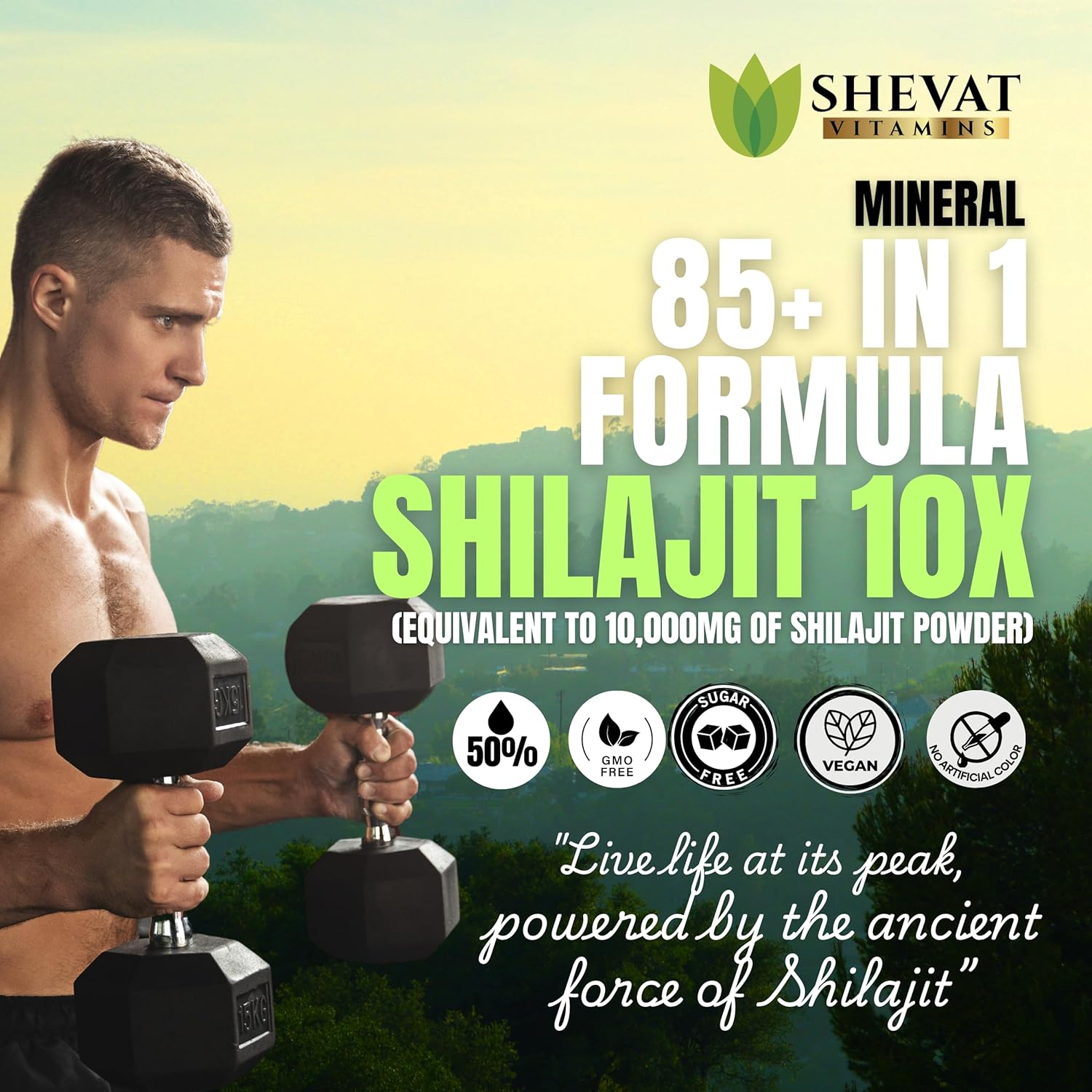 Organic Shilajit Capsules 22000mg with 85+ Trace Minerals for Energy & Immune Support - Non-GMO Shilajit Pills for Men & Women - Made in USA