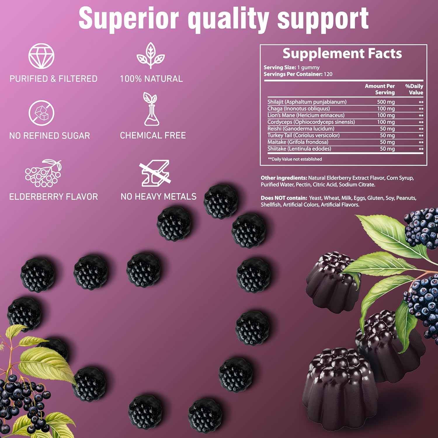 Organic Shilajit Gummies for Immune and Energy Support with Mushrooms - 120 Ct